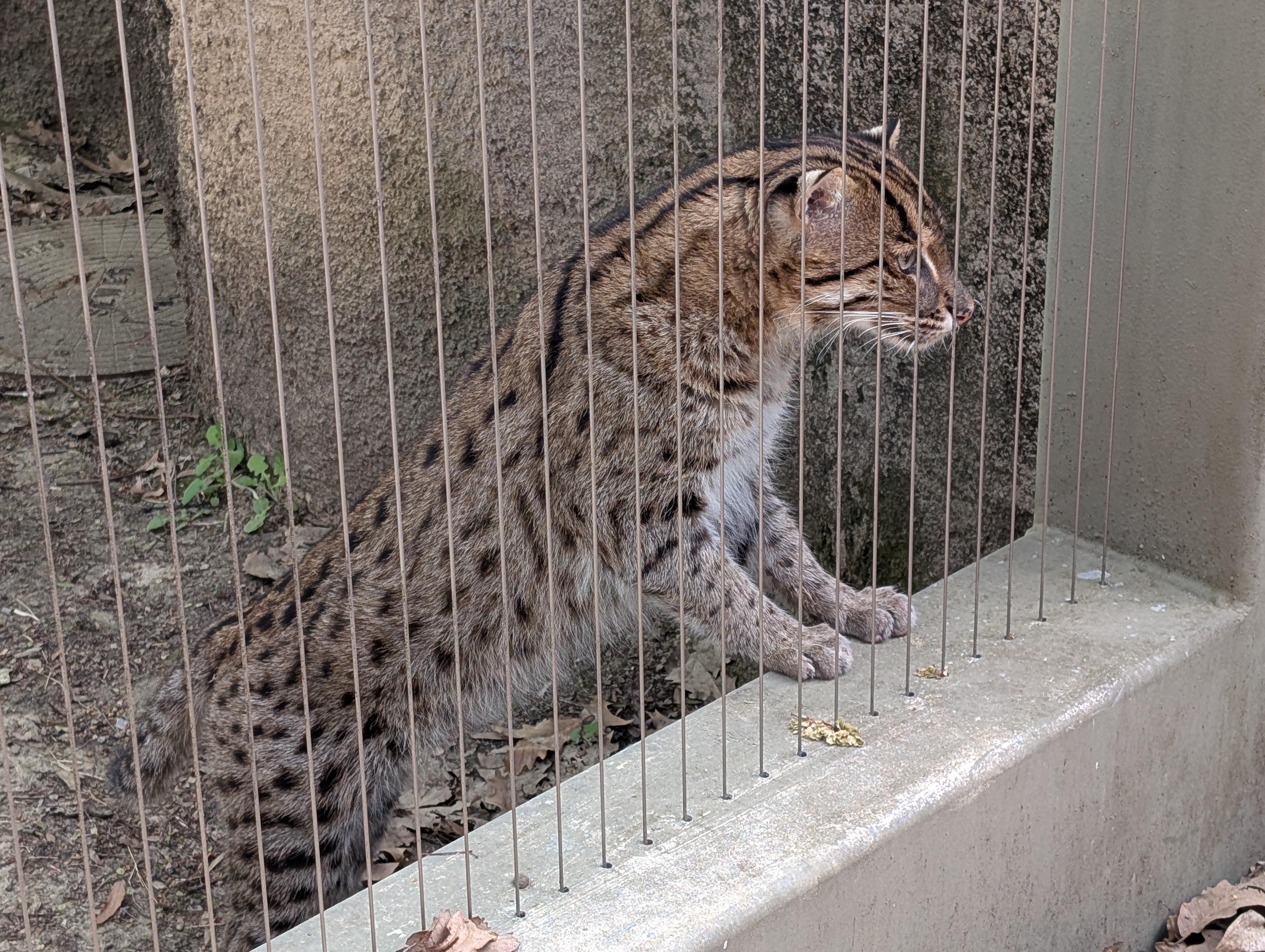 PXL 20250328 183429309