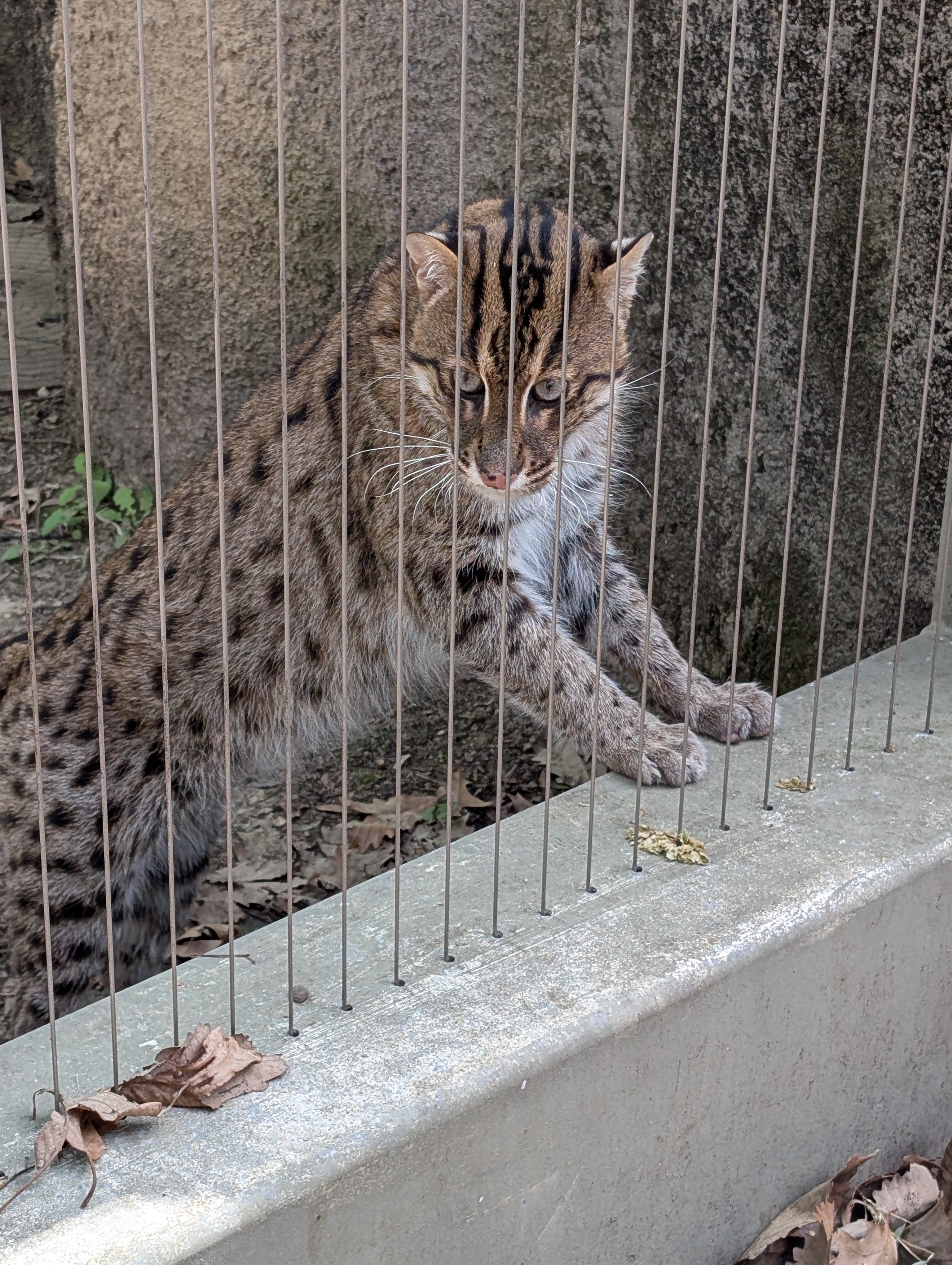 PXL 20250328 183436259