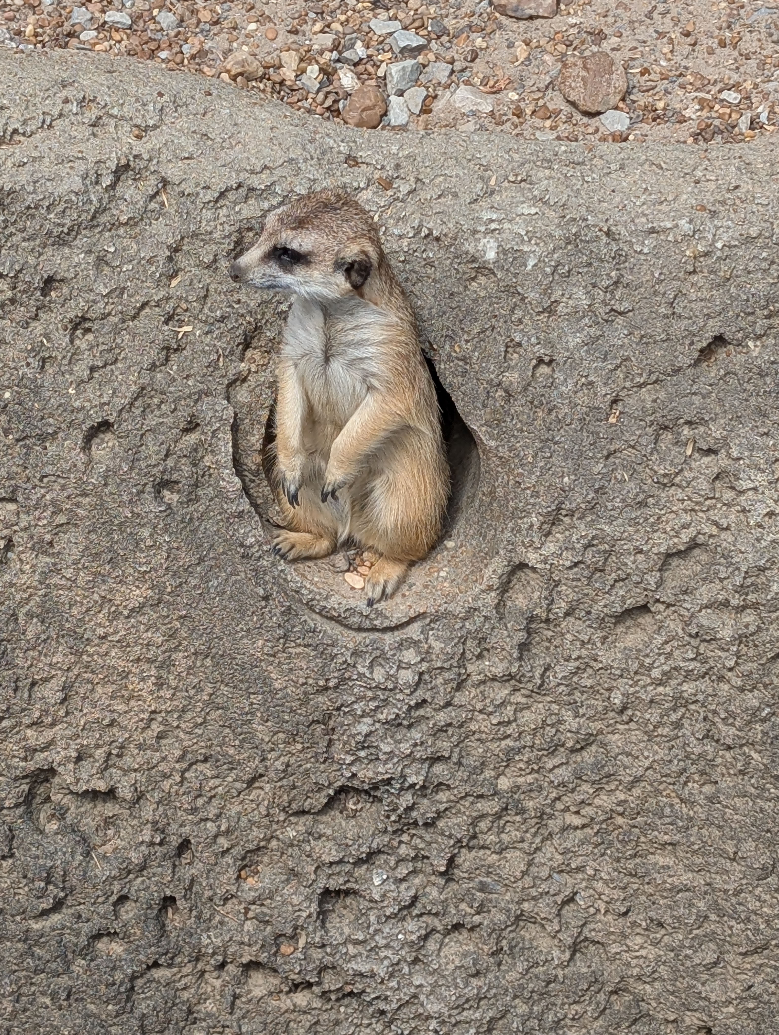 PXL 20250328 183707431