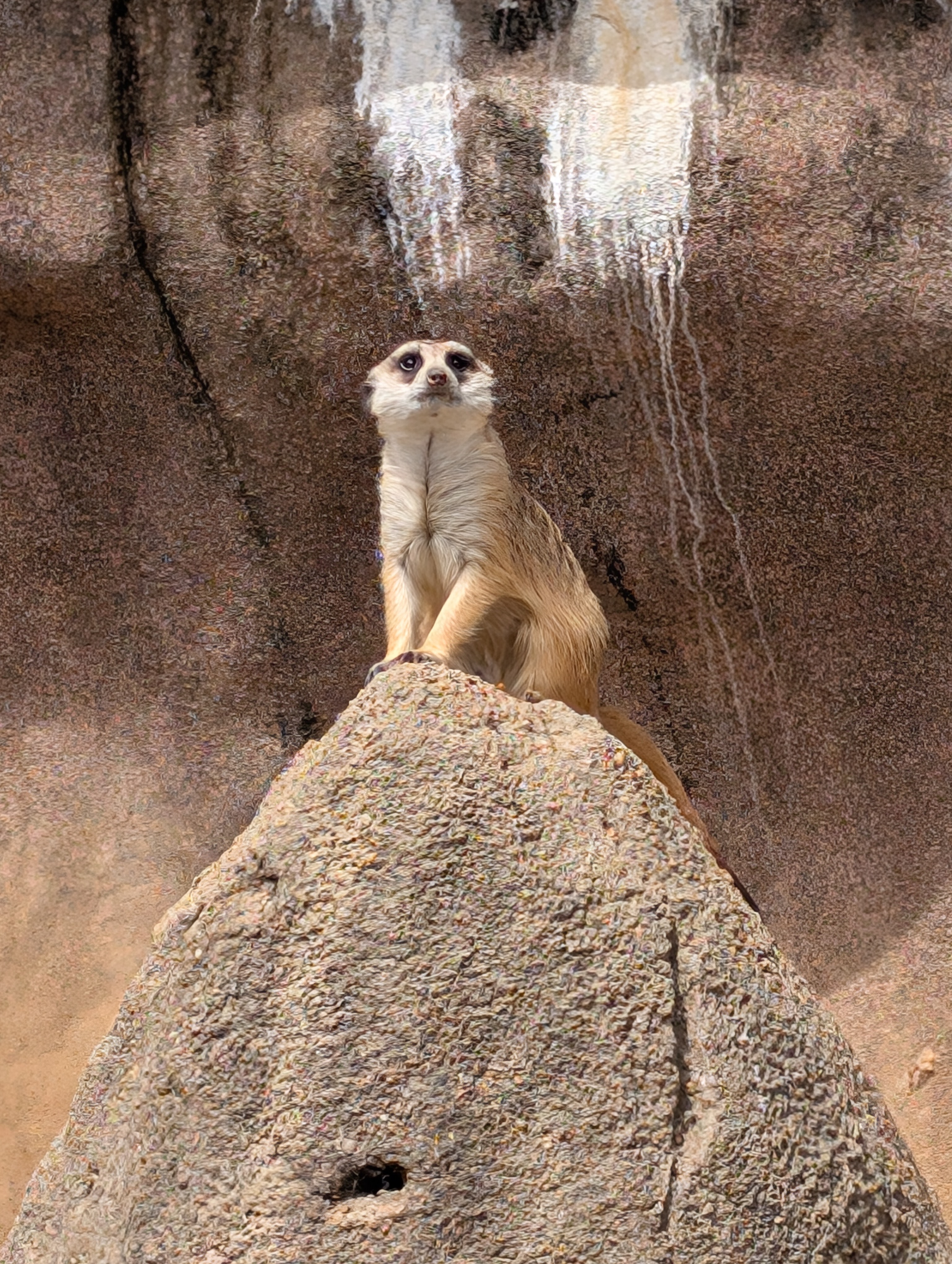 PXL 20250328 183730464