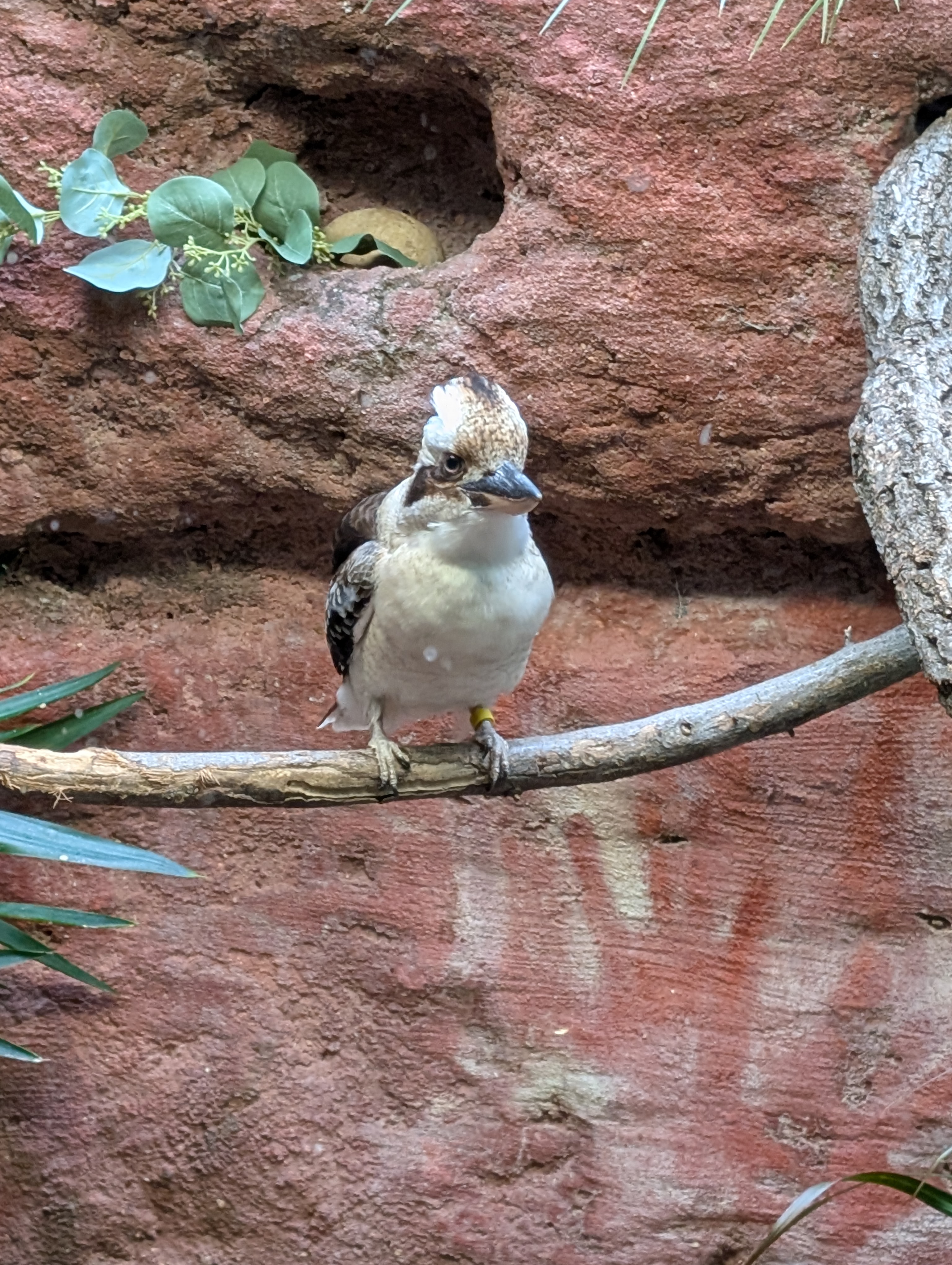 PXL 20250328 190826144