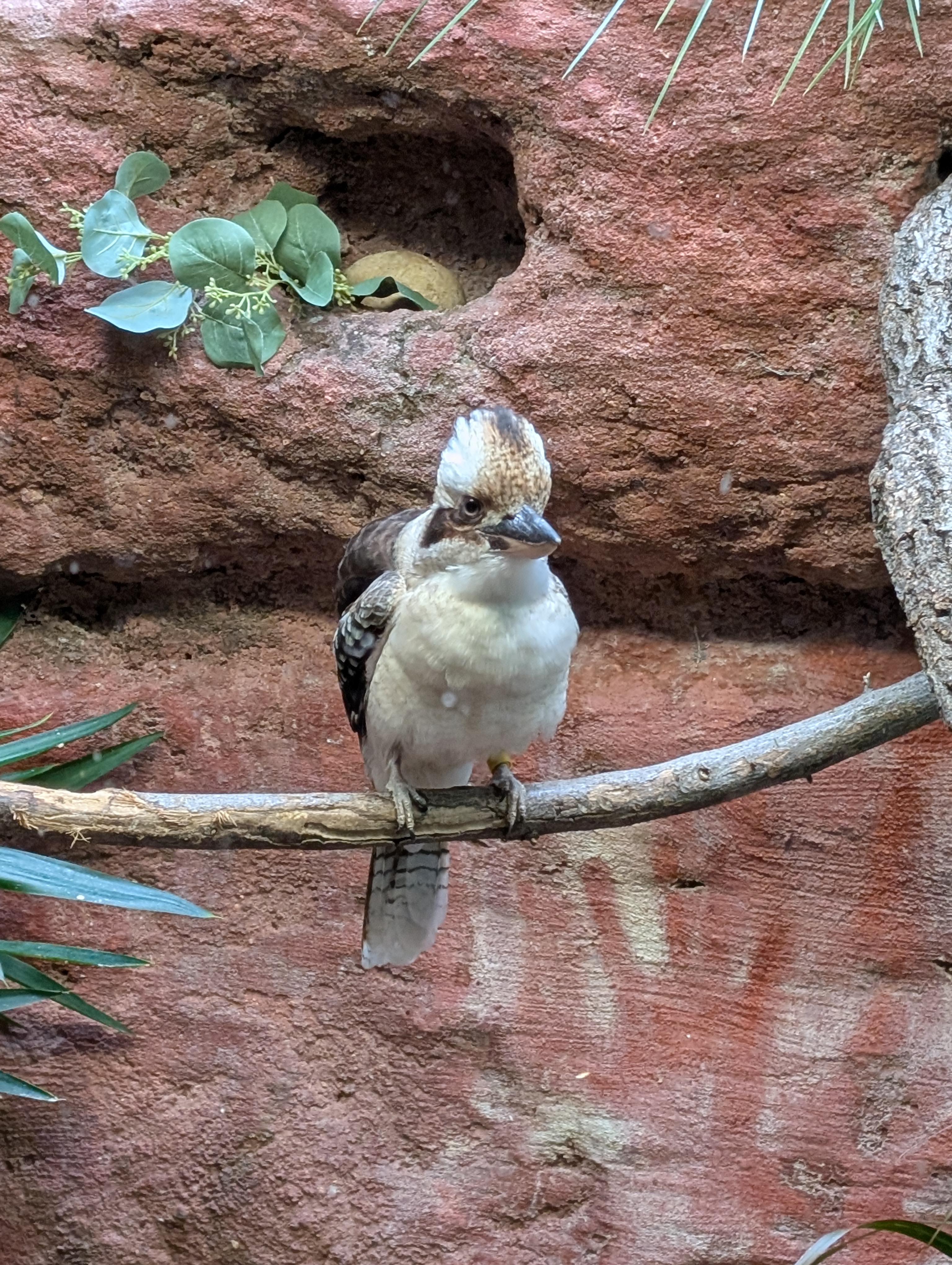 PXL 20250328 190827619