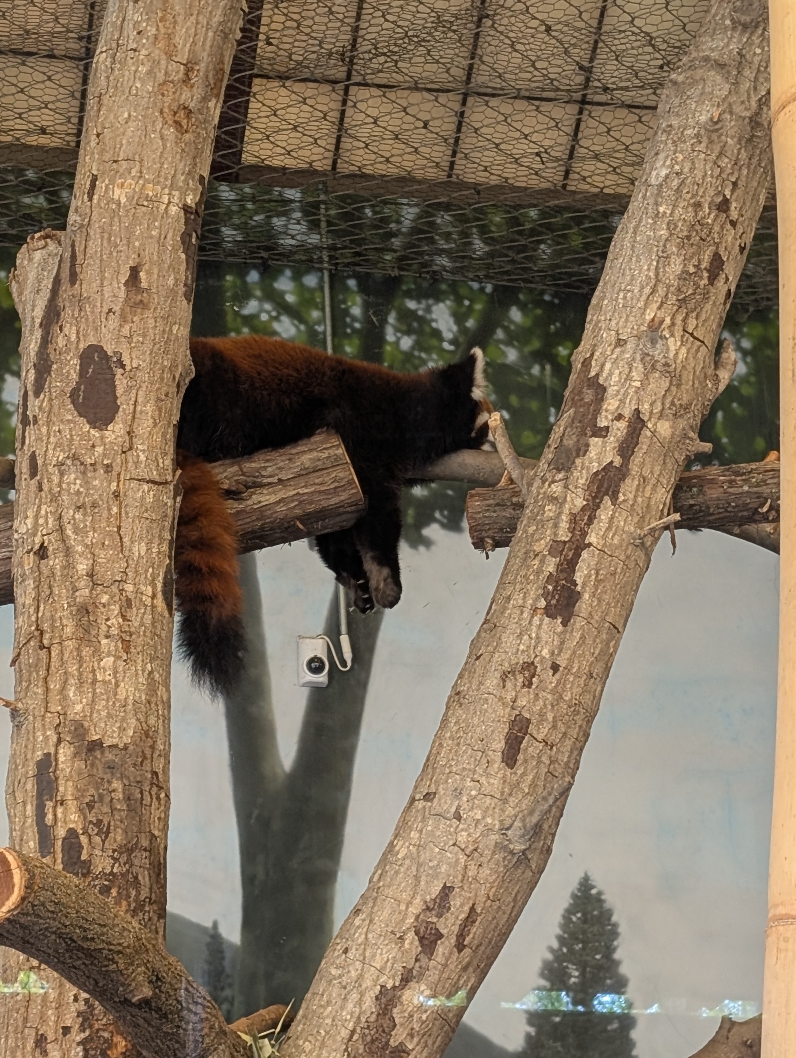 PXL 20250328 201020540