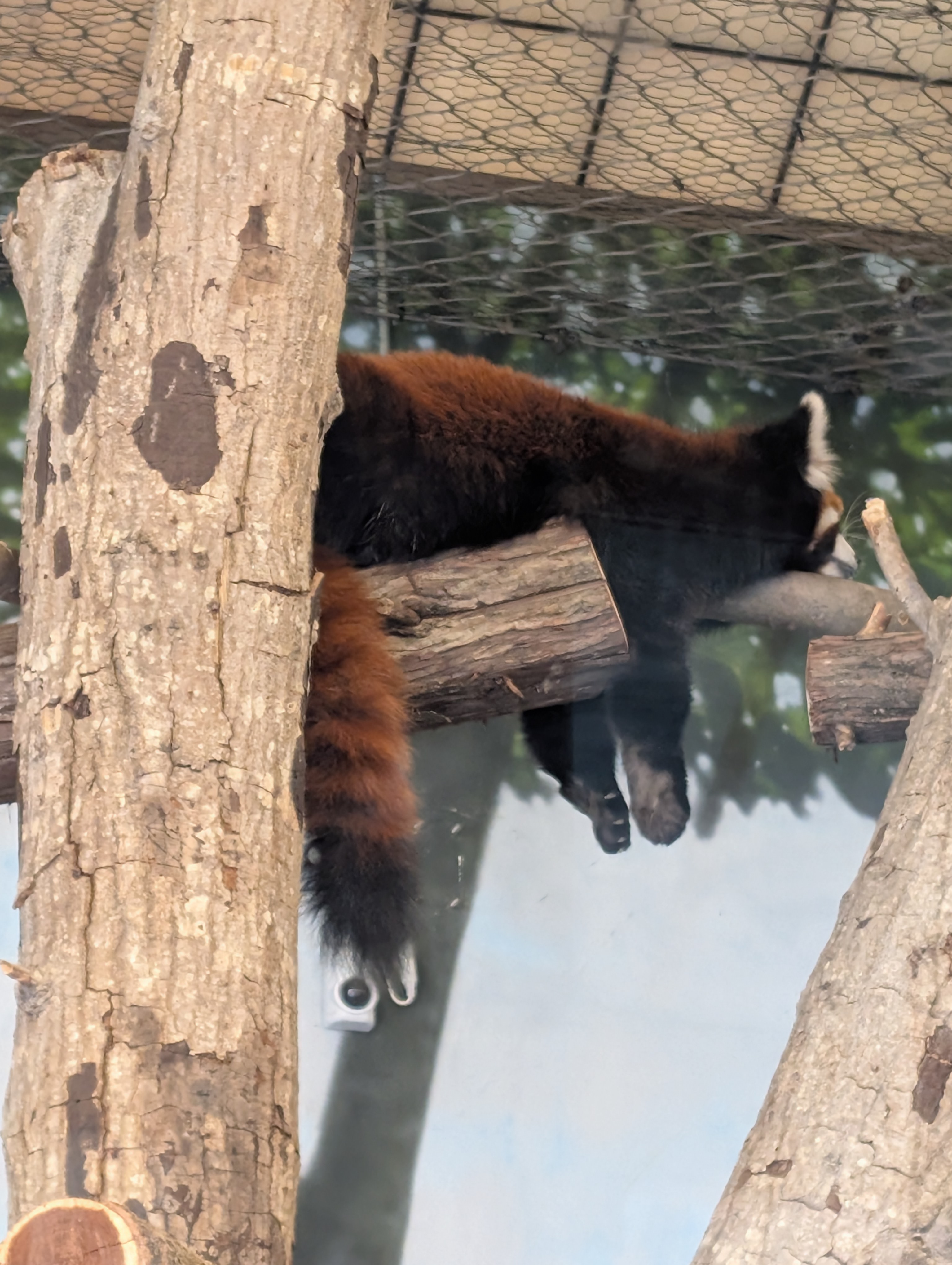 PXL 20250328 201107995