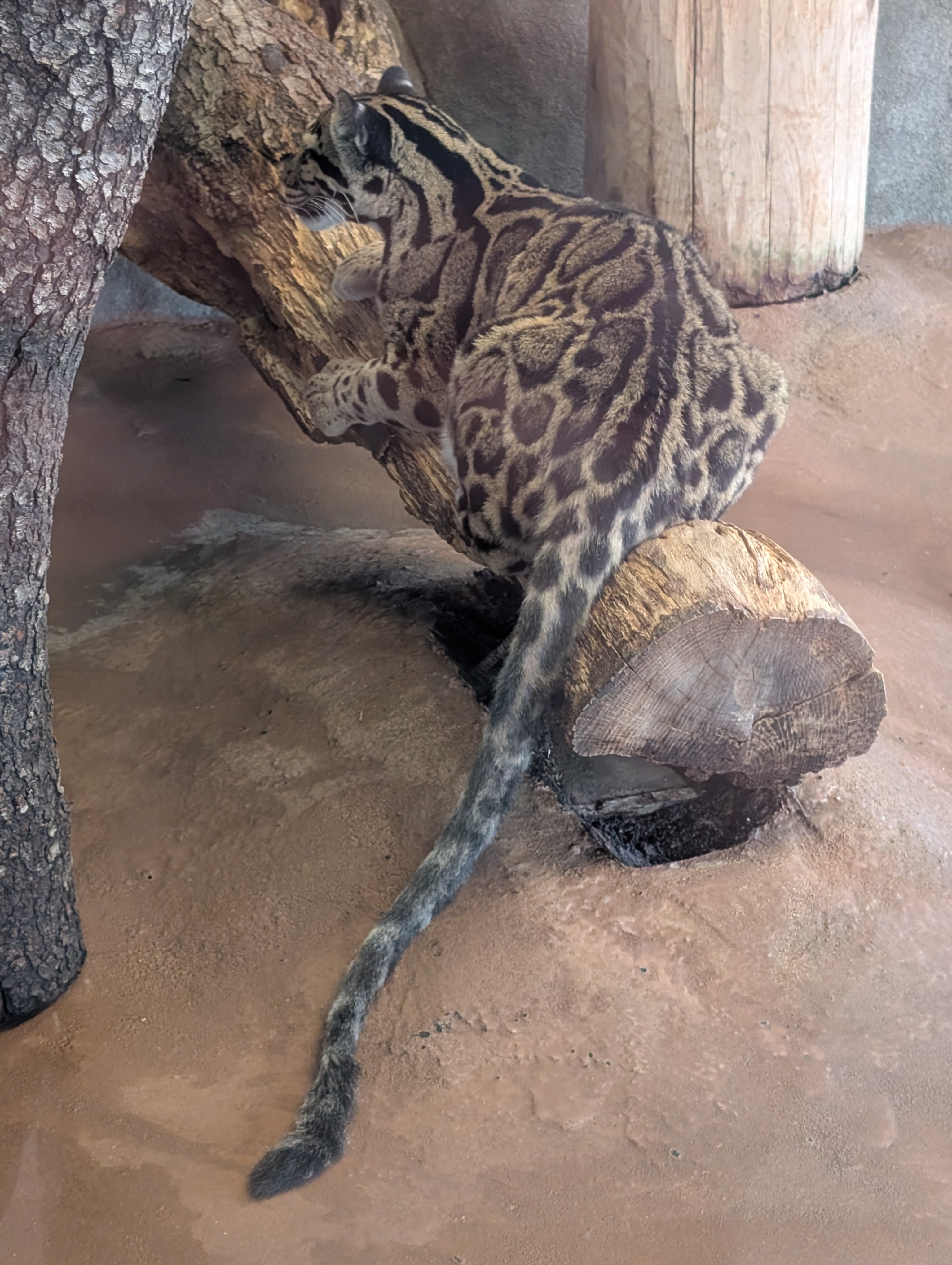 PXL 20250328 201228251