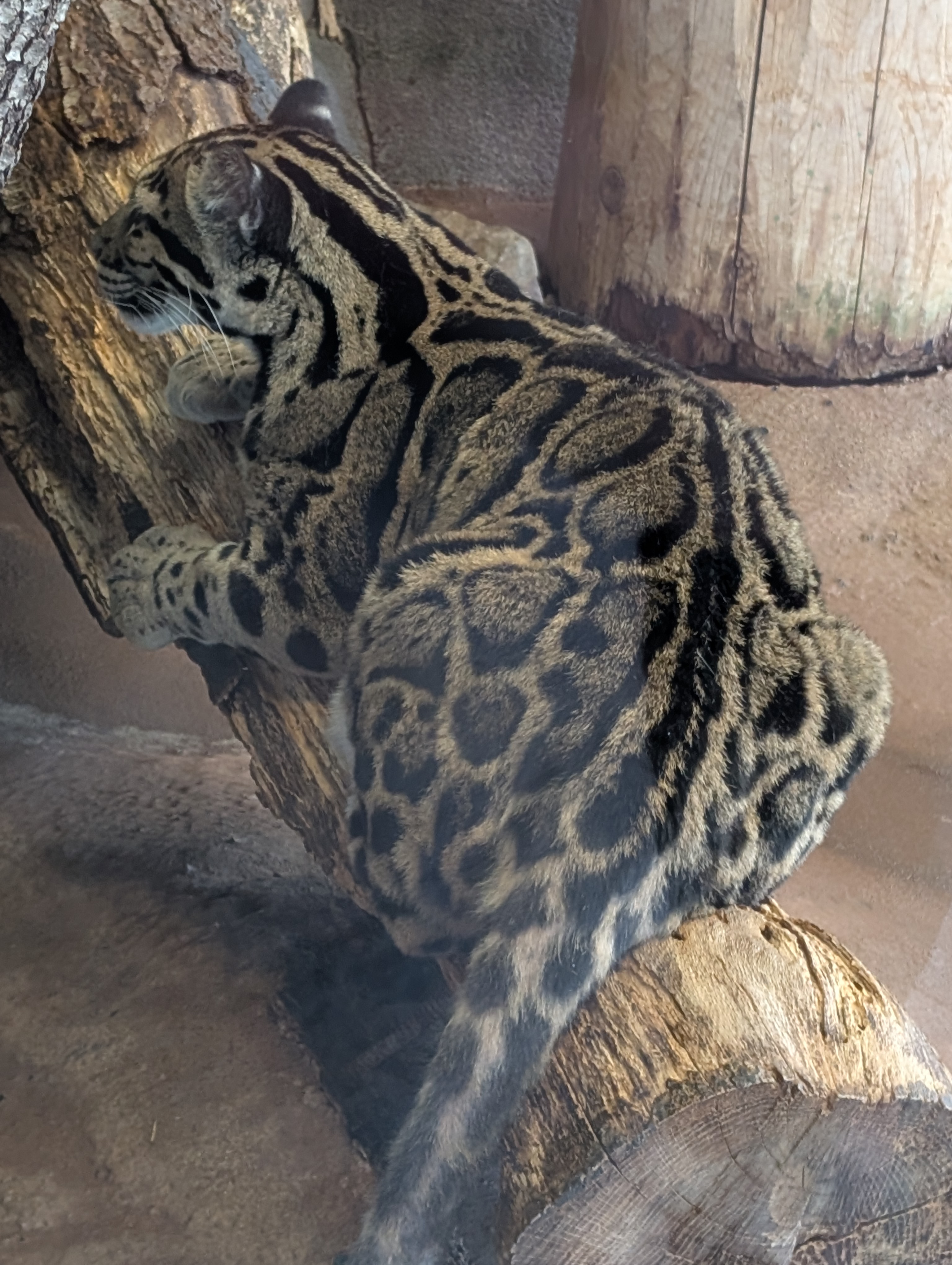 PXL 20250328 201244364