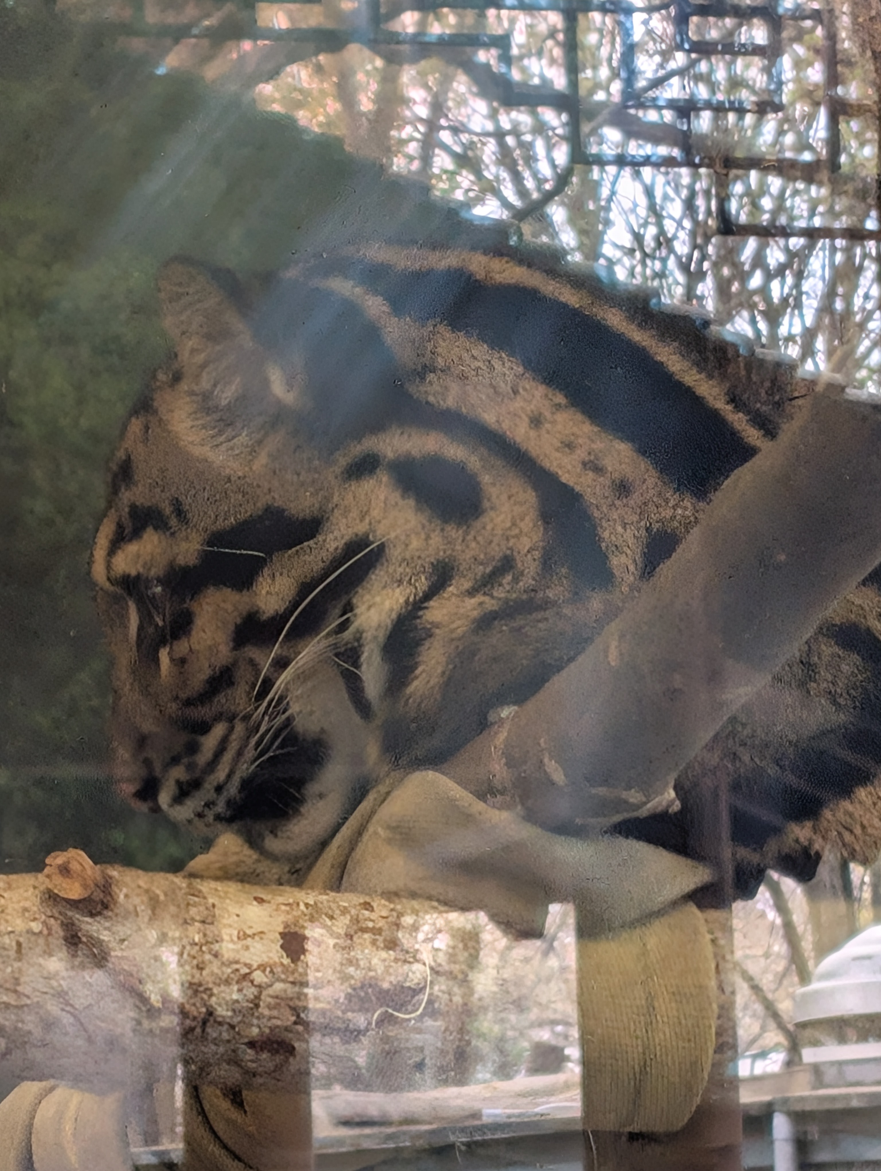 PXL 20250328 201330740