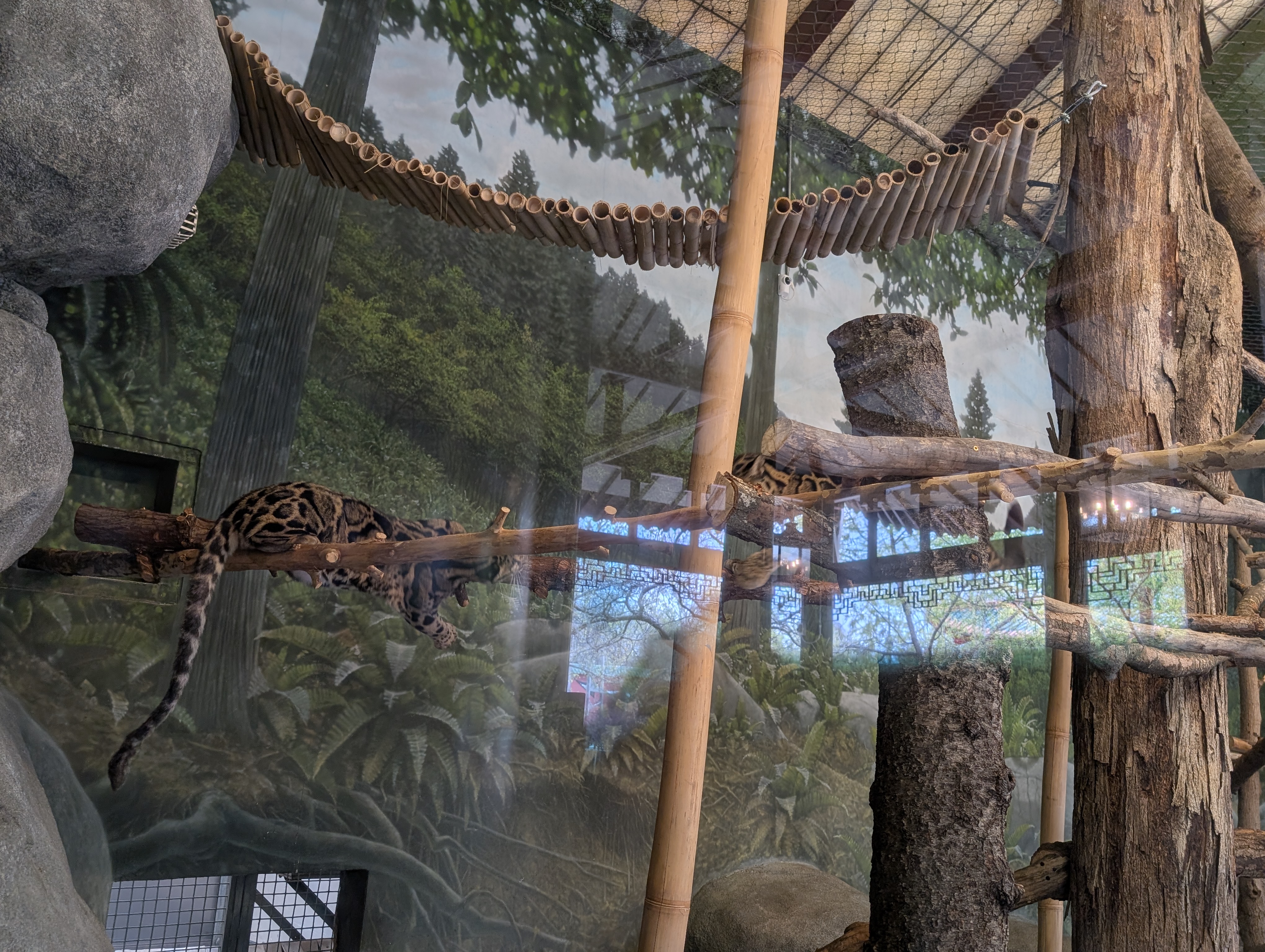 PXL 20250328 201545870