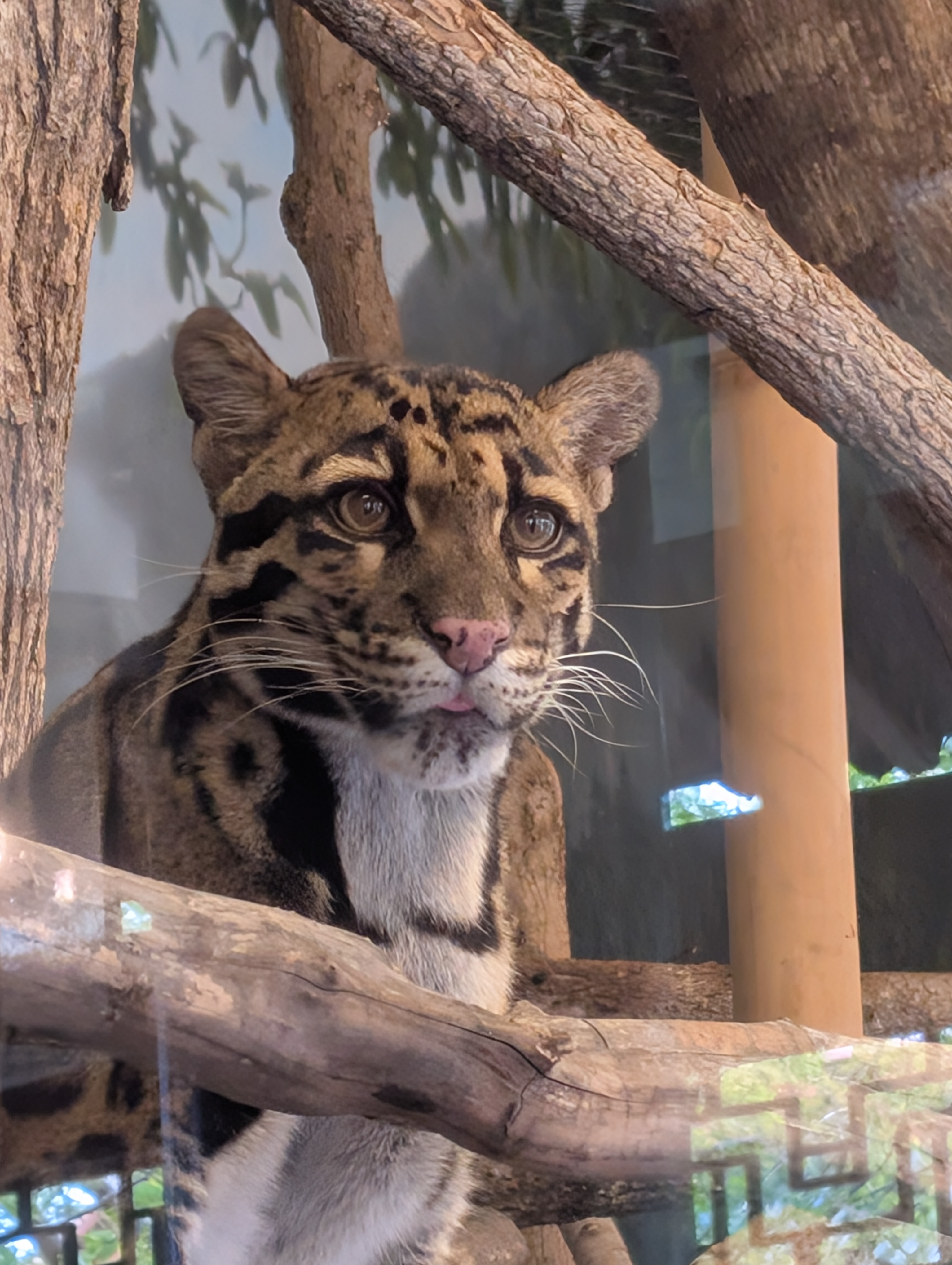 PXL 20250328 201619564