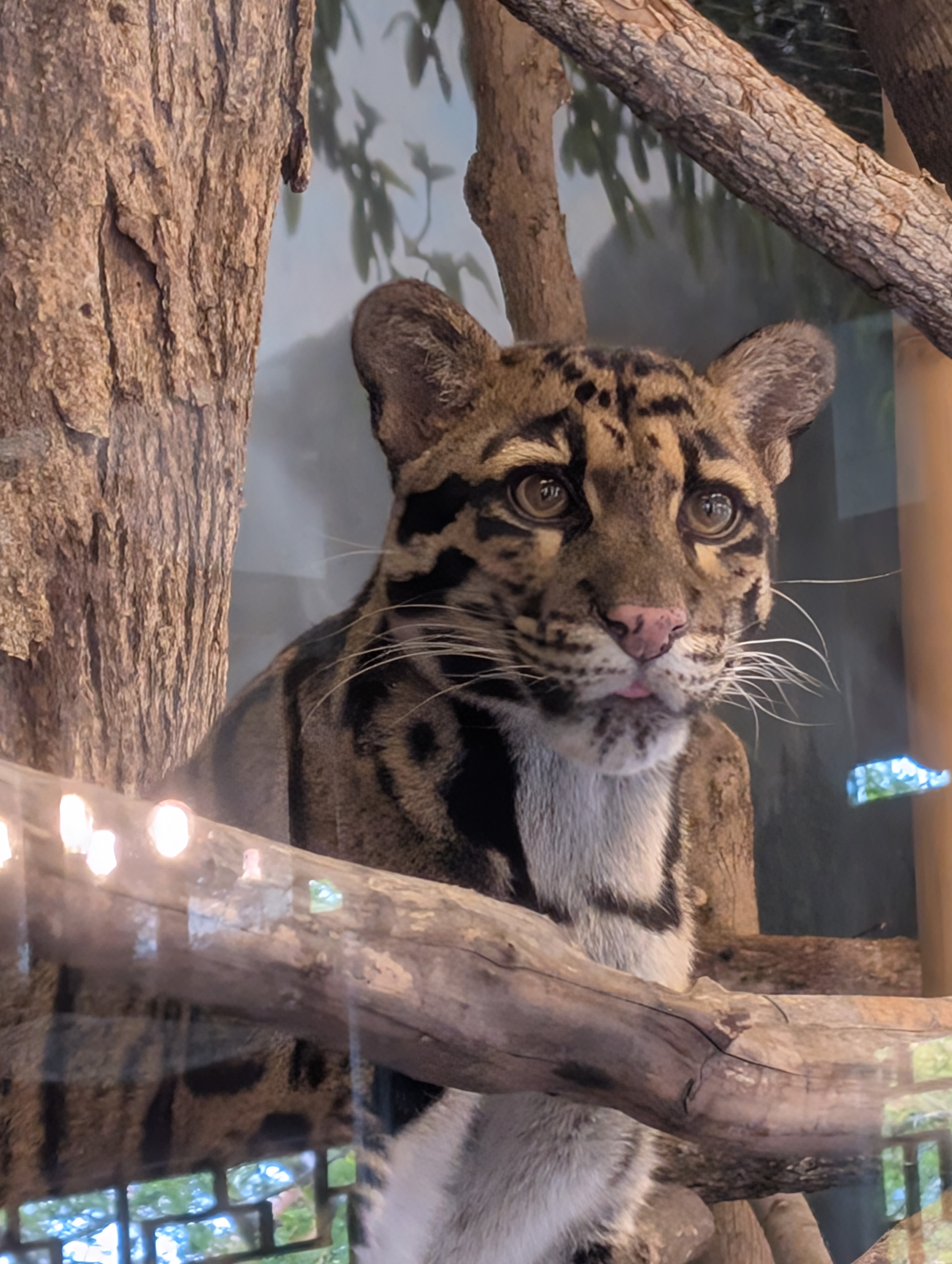 PXL 20250328 201620559