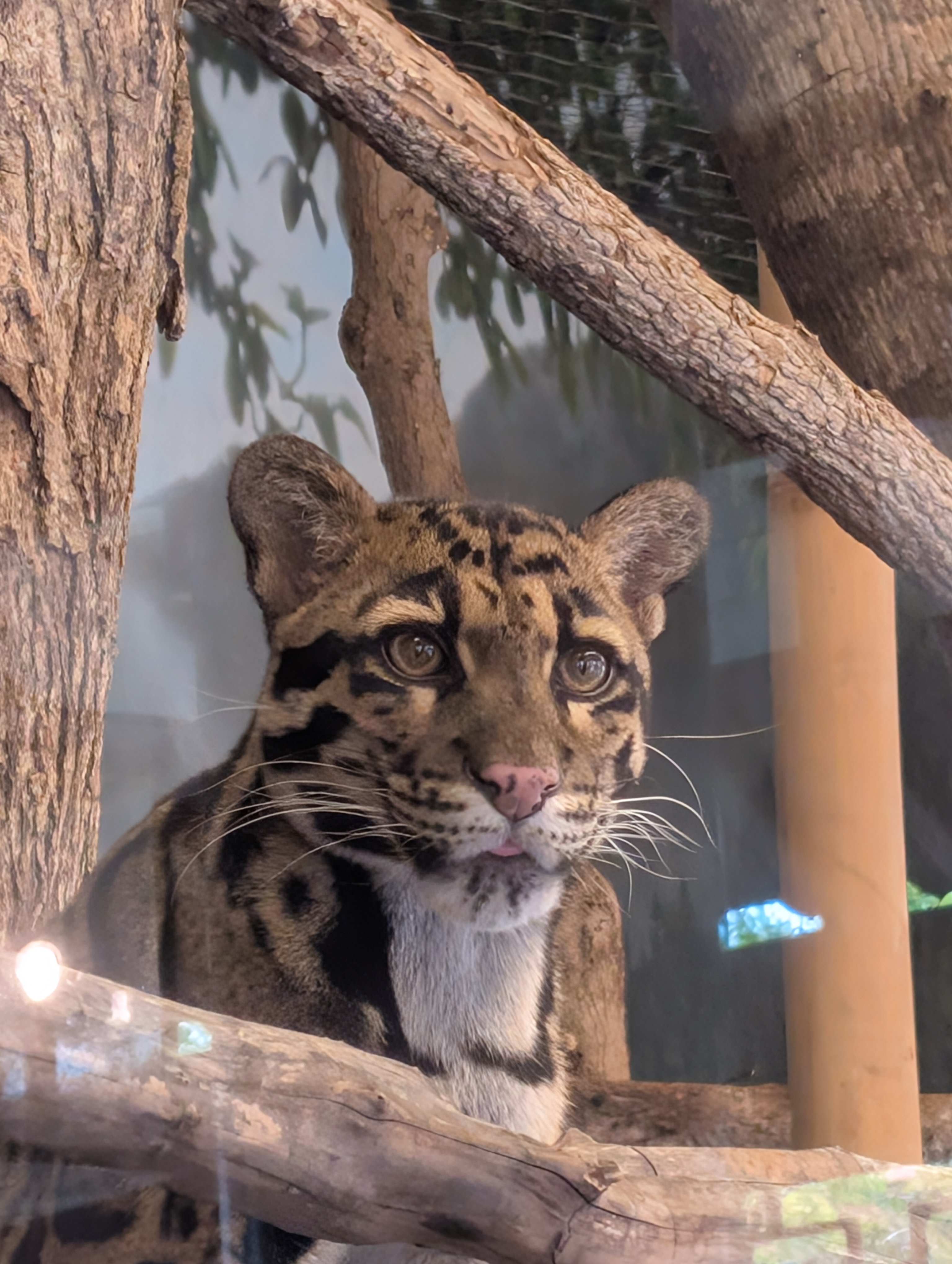 PXL 20250328 201621517