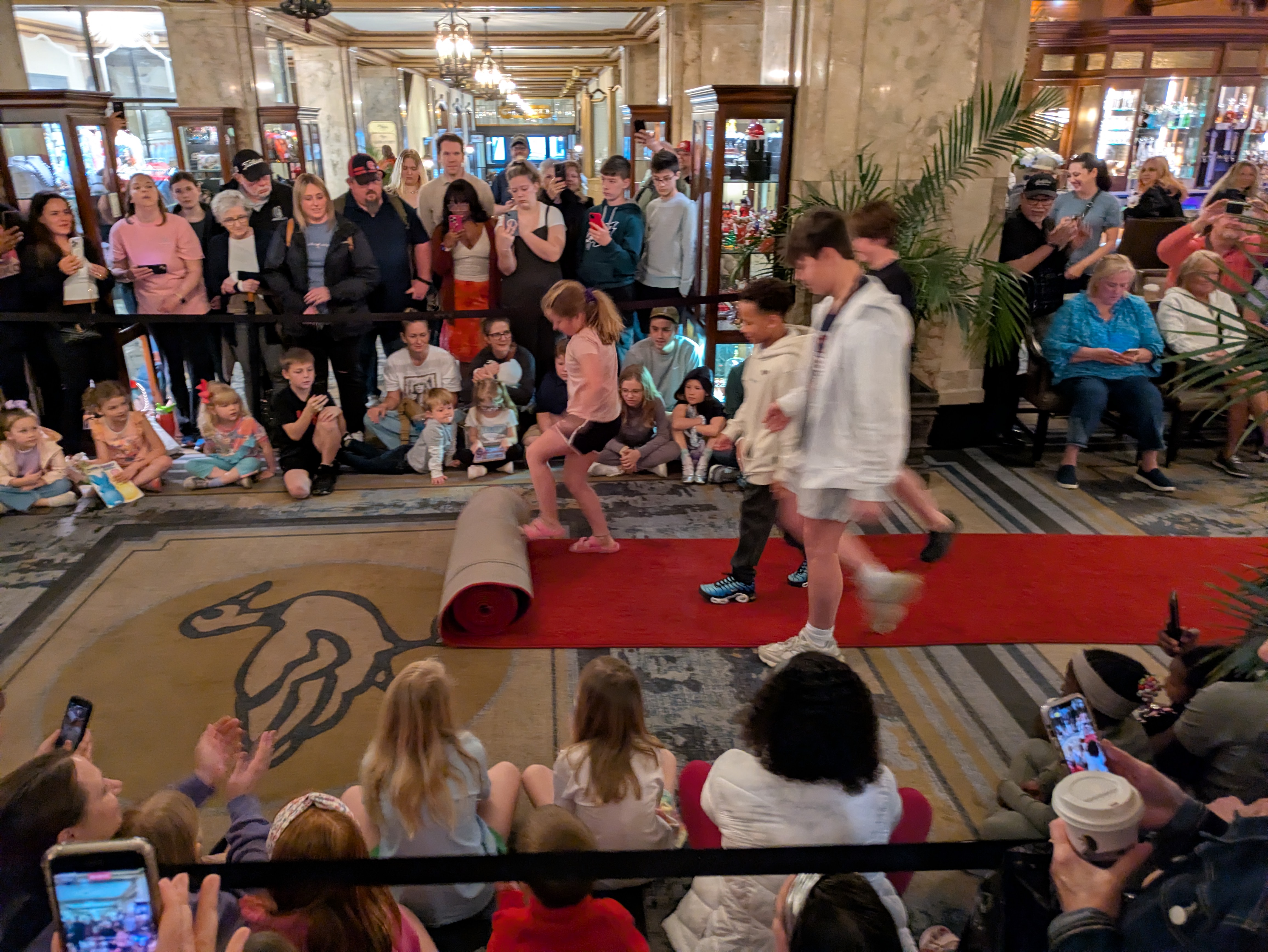 PXL 20250329 154232280.RAW 01.COVER