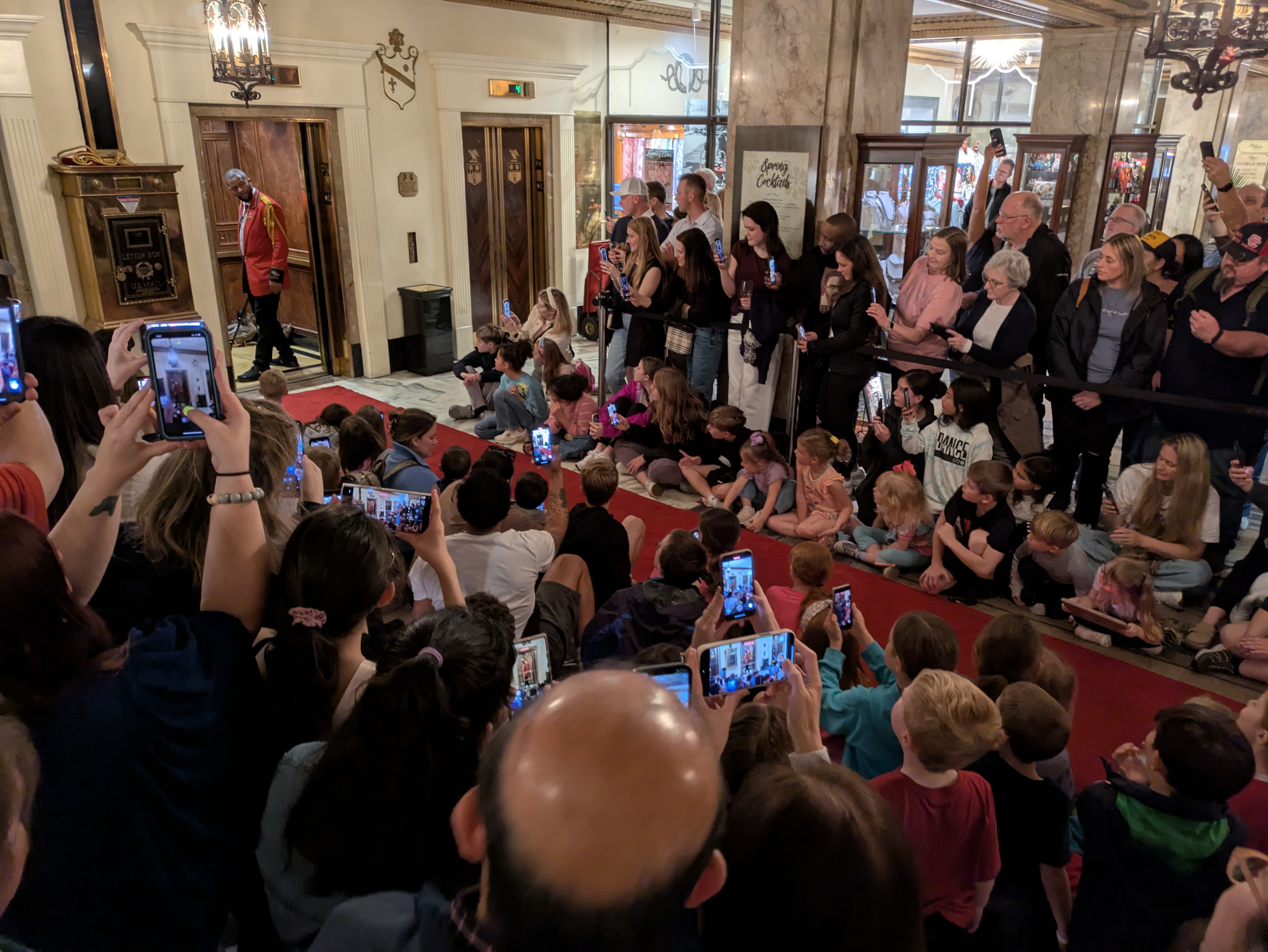 PXL 20250329 160731314.RAW 01.MP.COVER