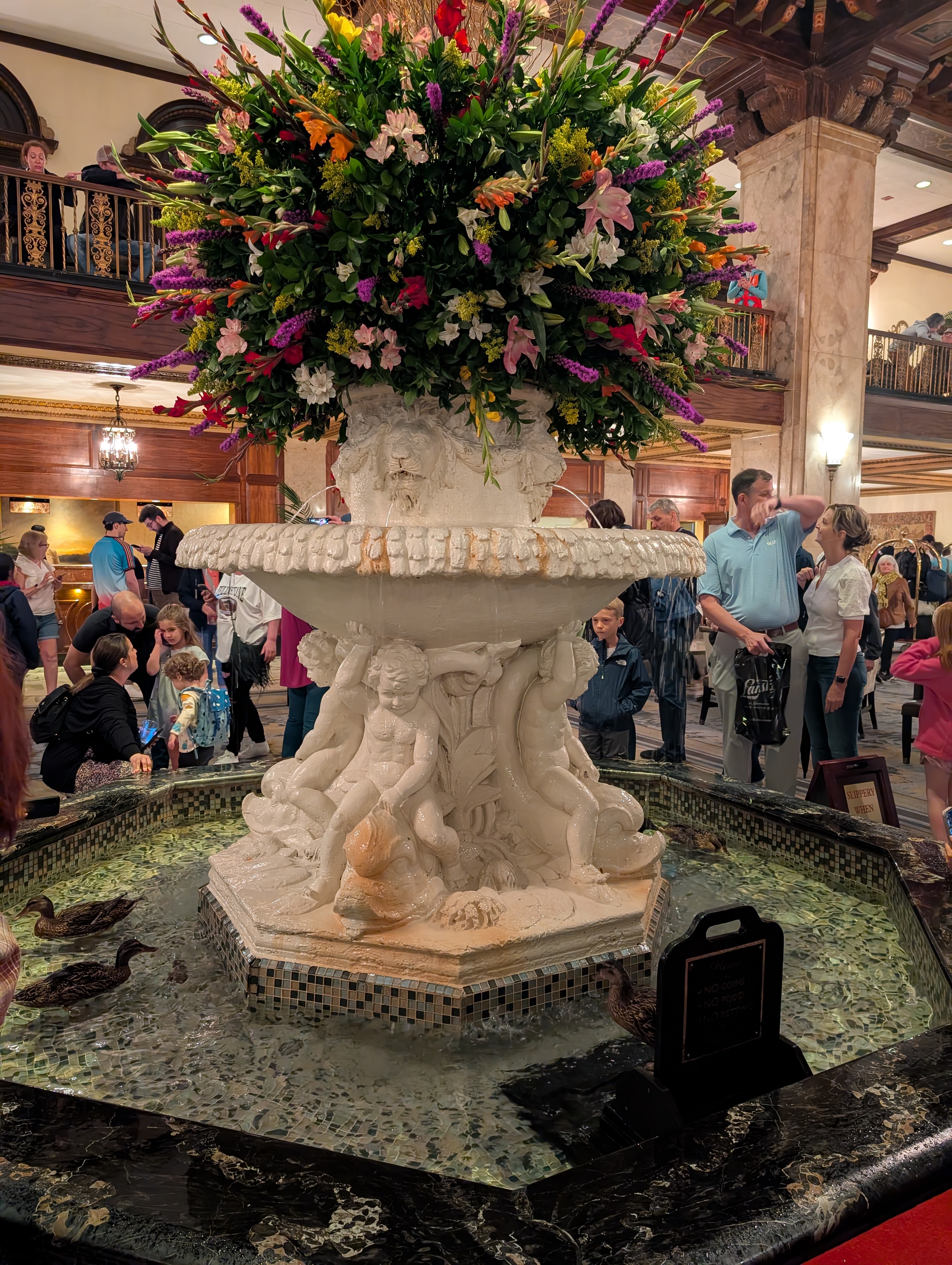 PXL 20250329 161348650