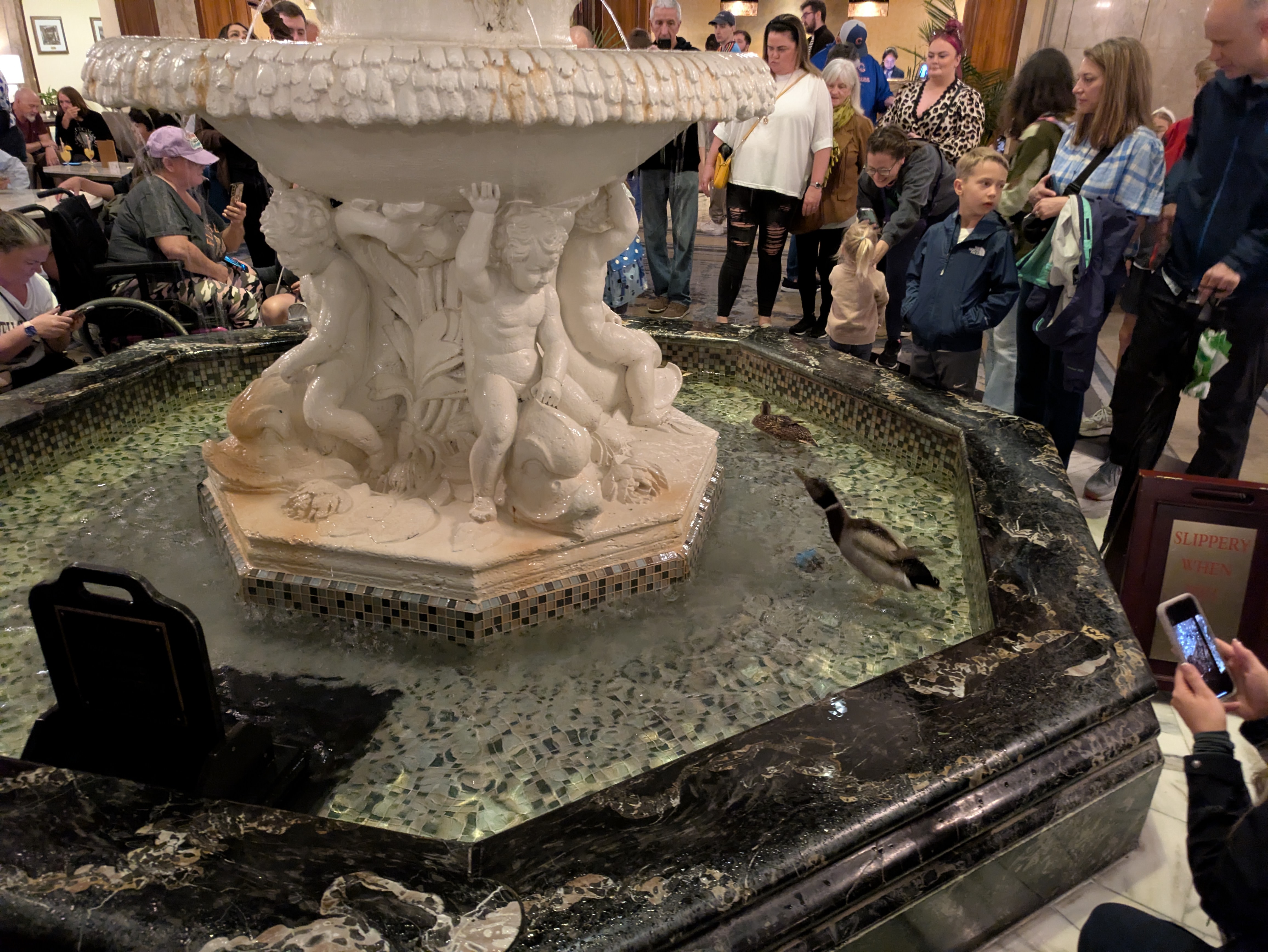 PXL 20250329 161407701.RAW 01.MP.COVER