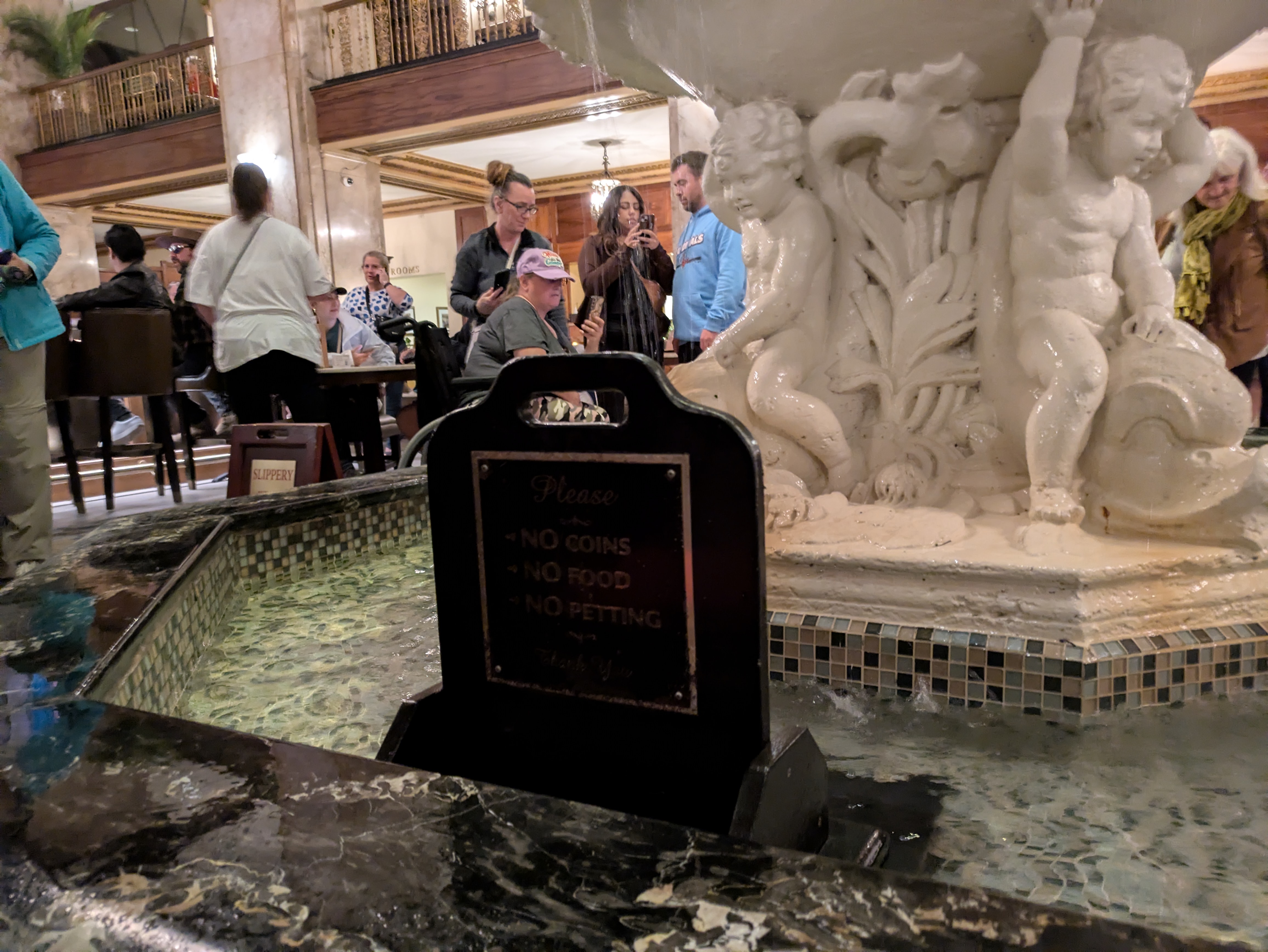 PXL 20250329 161417594.RAW 01.COVER