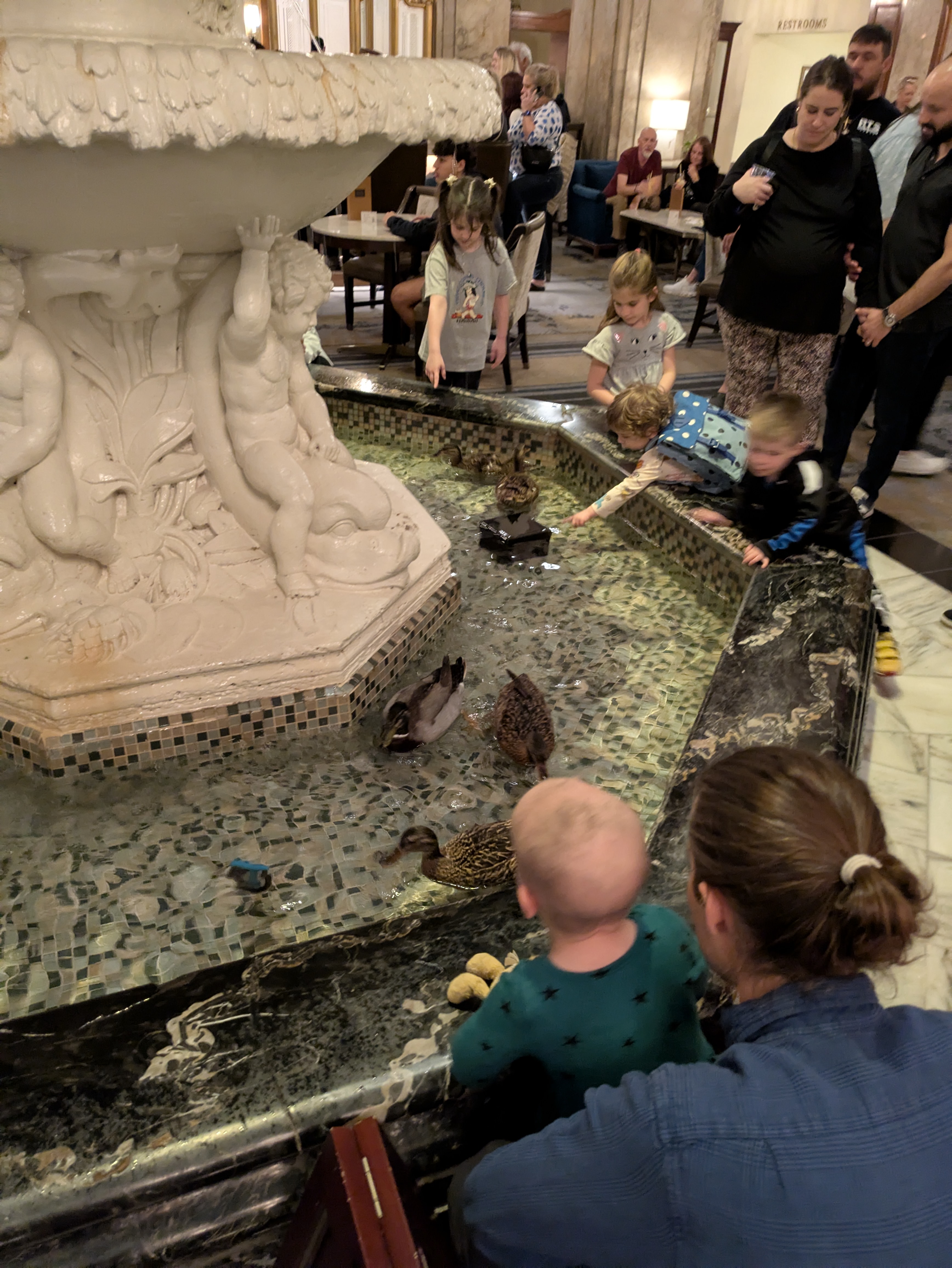 PXL 20250329 161604396.RAW 01.COVER