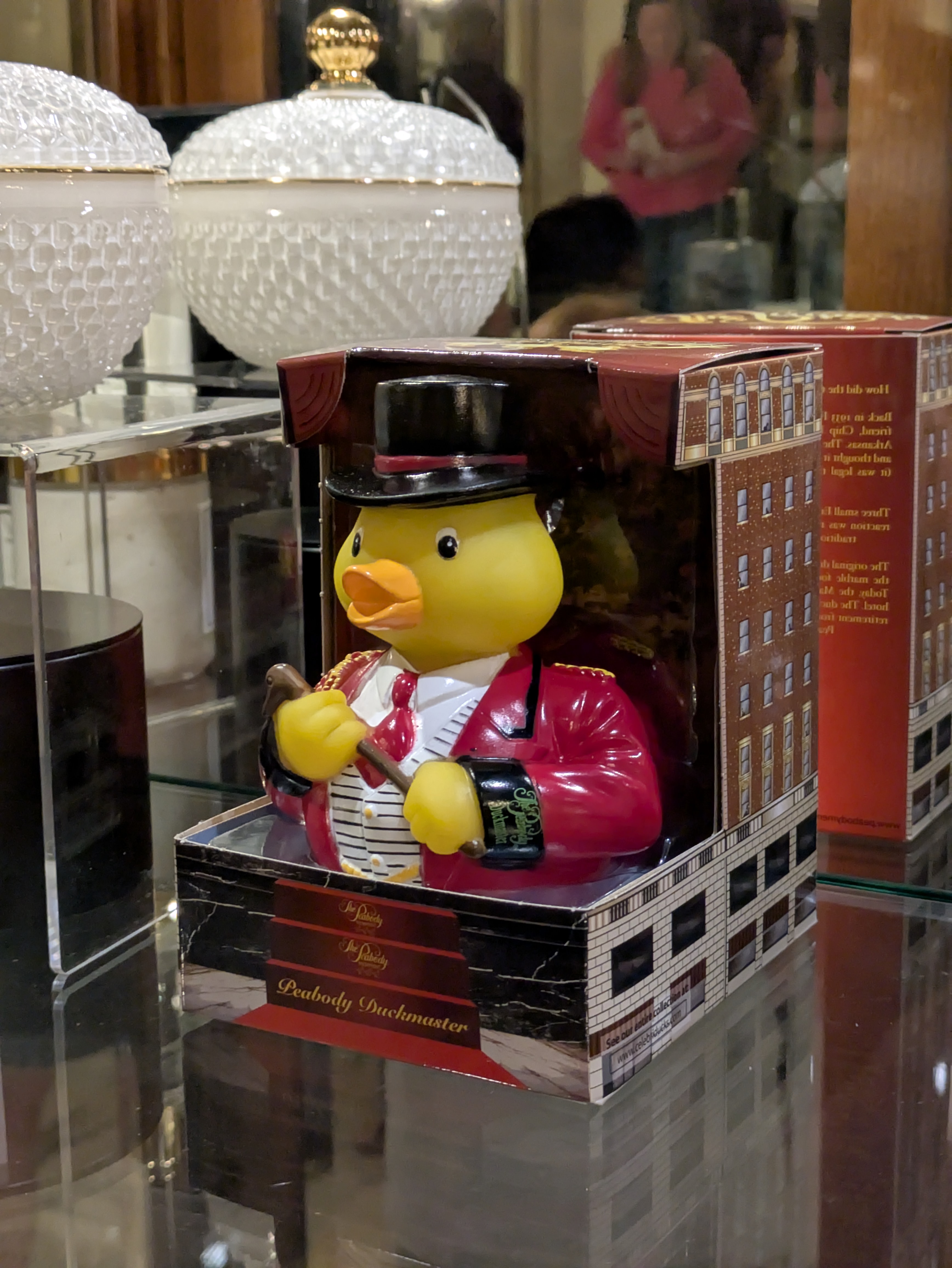 PXL 20250329 161831912.RAW 01.COVER