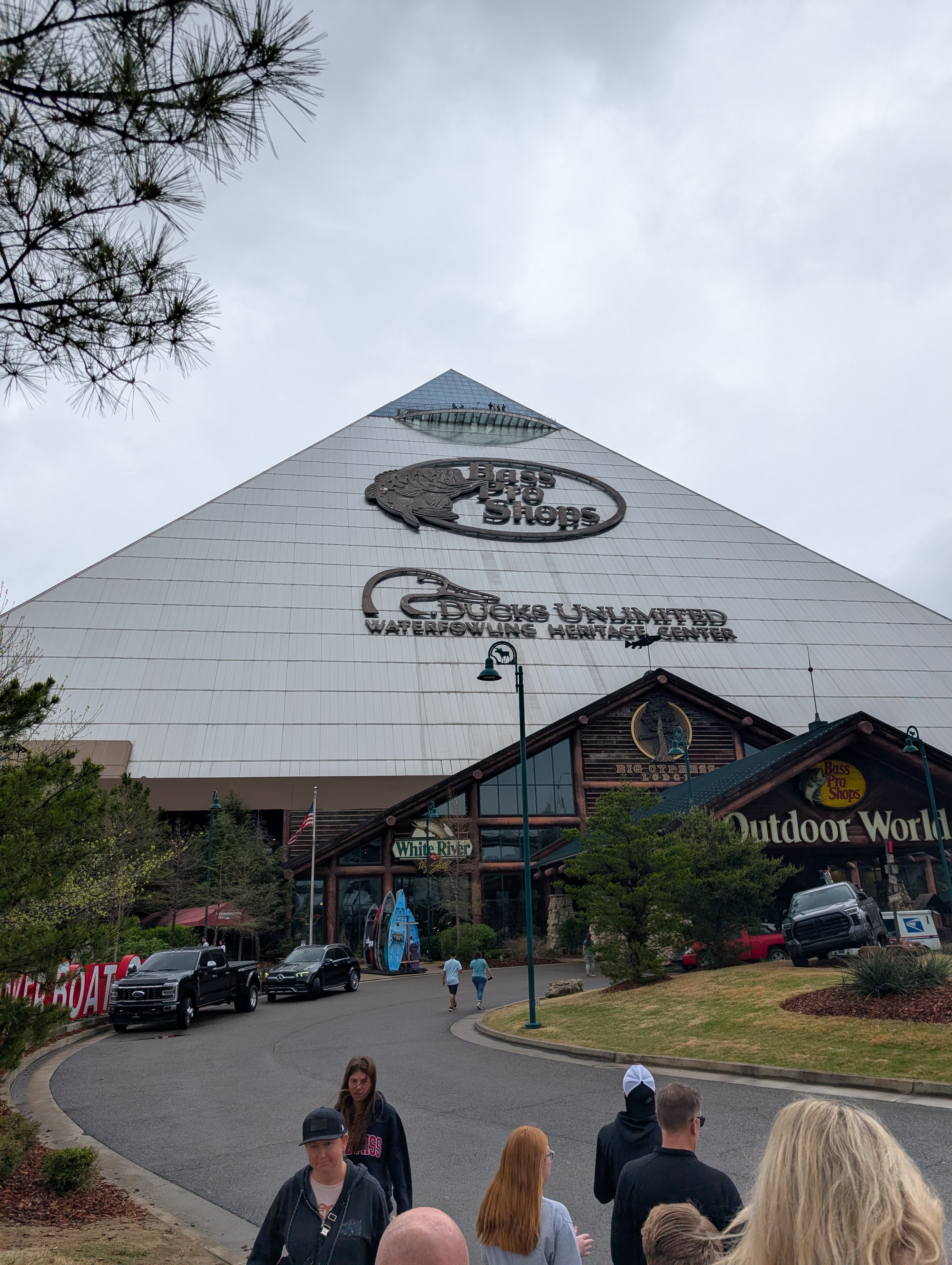 PXL 20250329 163930524