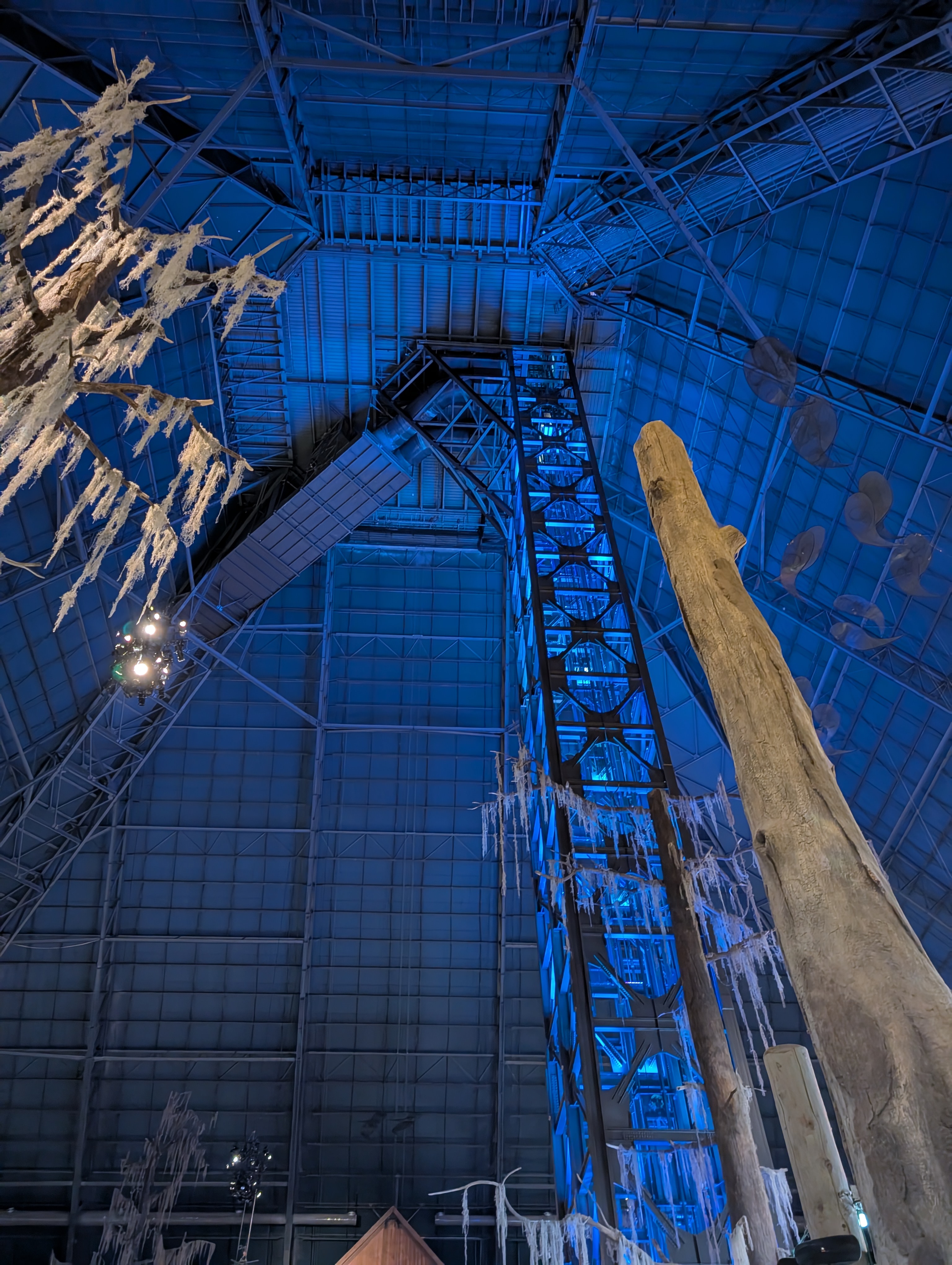 PXL 20250329 164137971