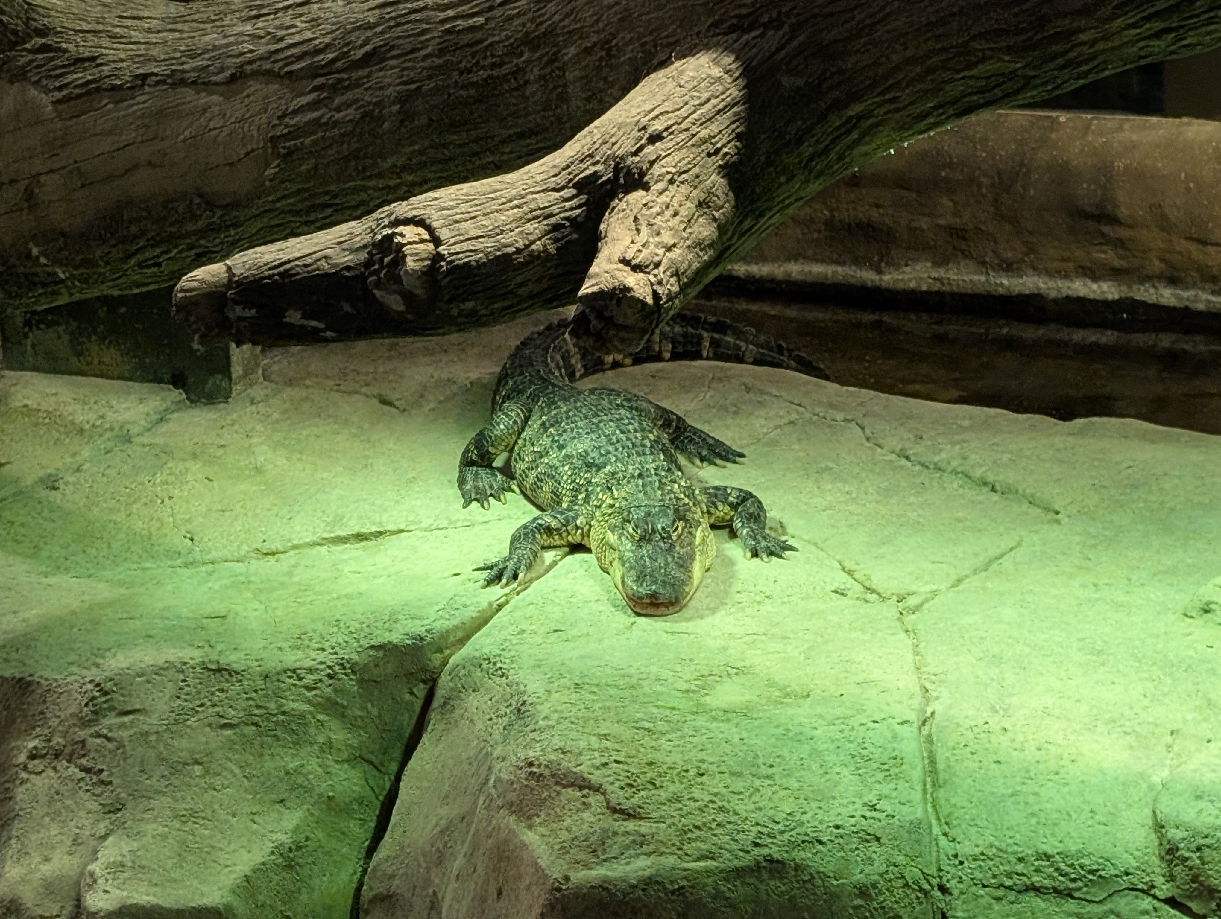 PXL 20250329 164245756