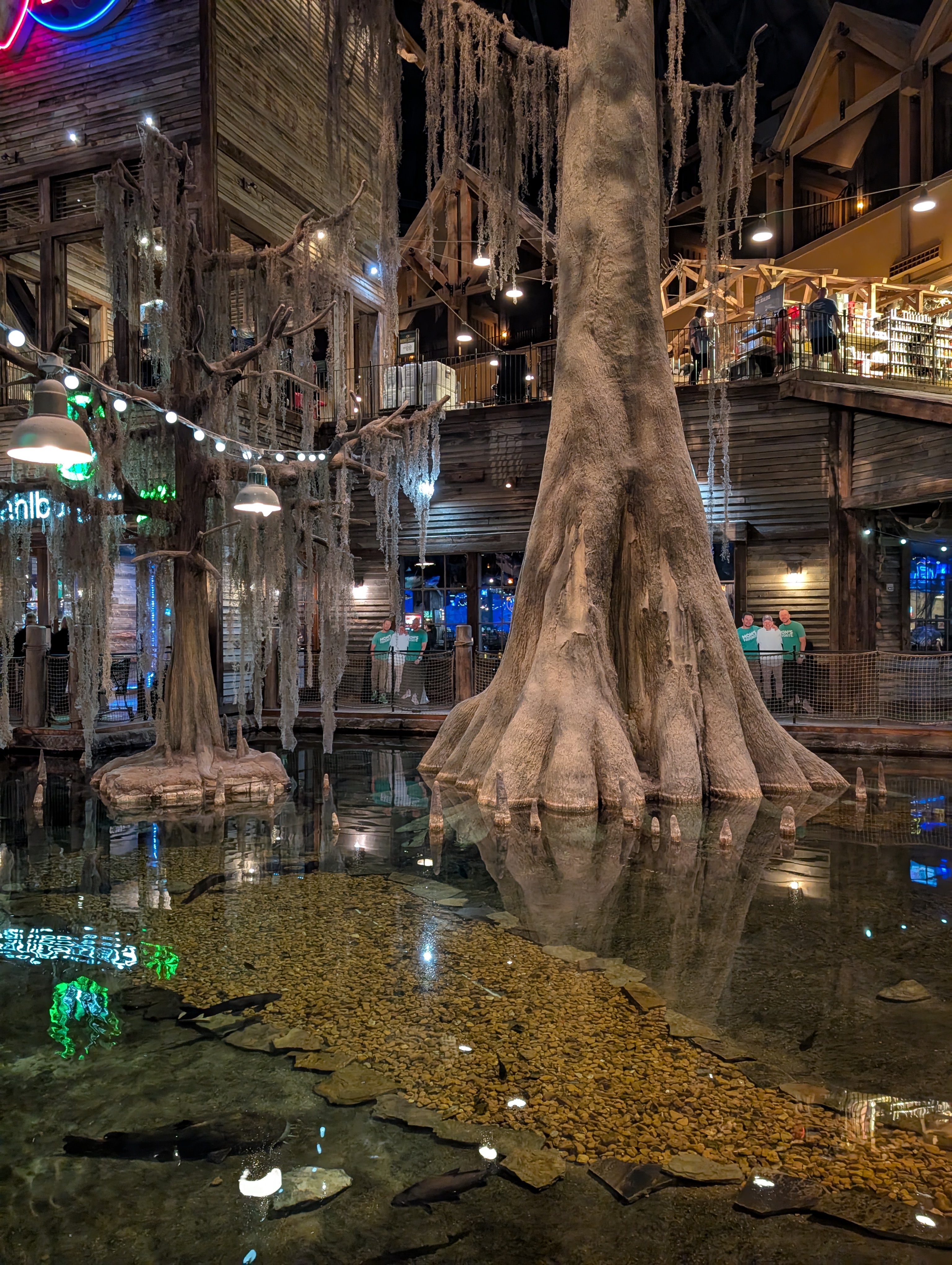 PXL 20250329 164513201