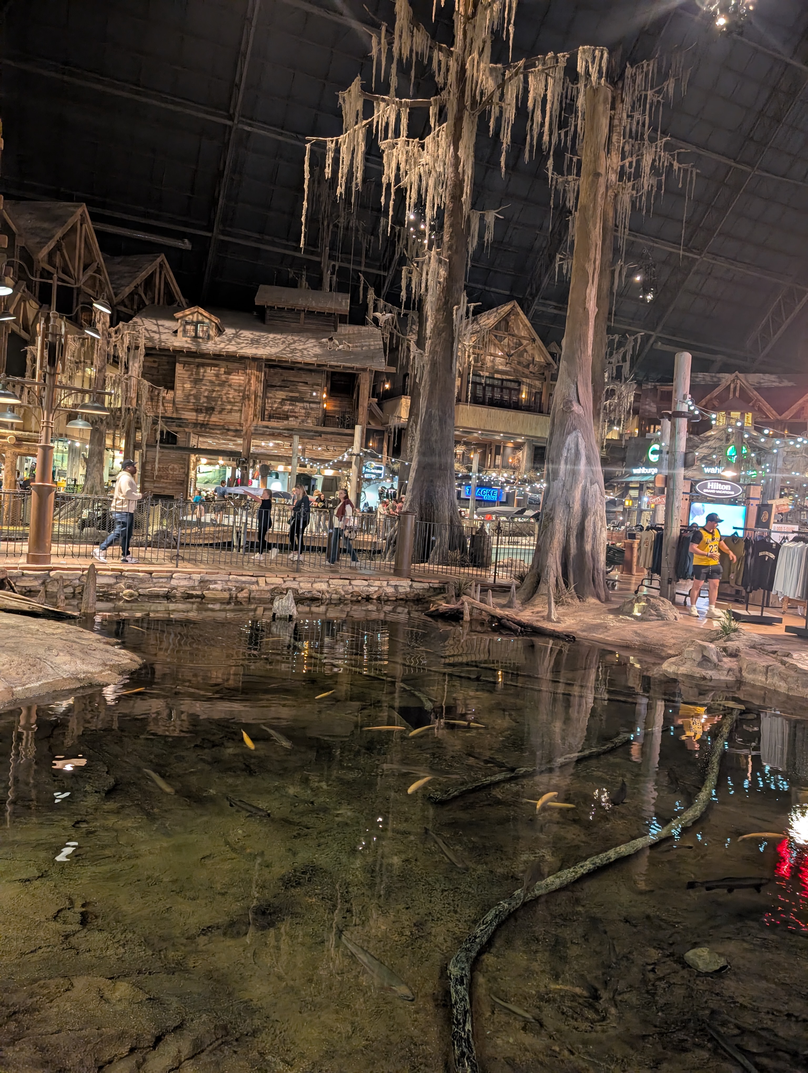 PXL 20250329 184028381