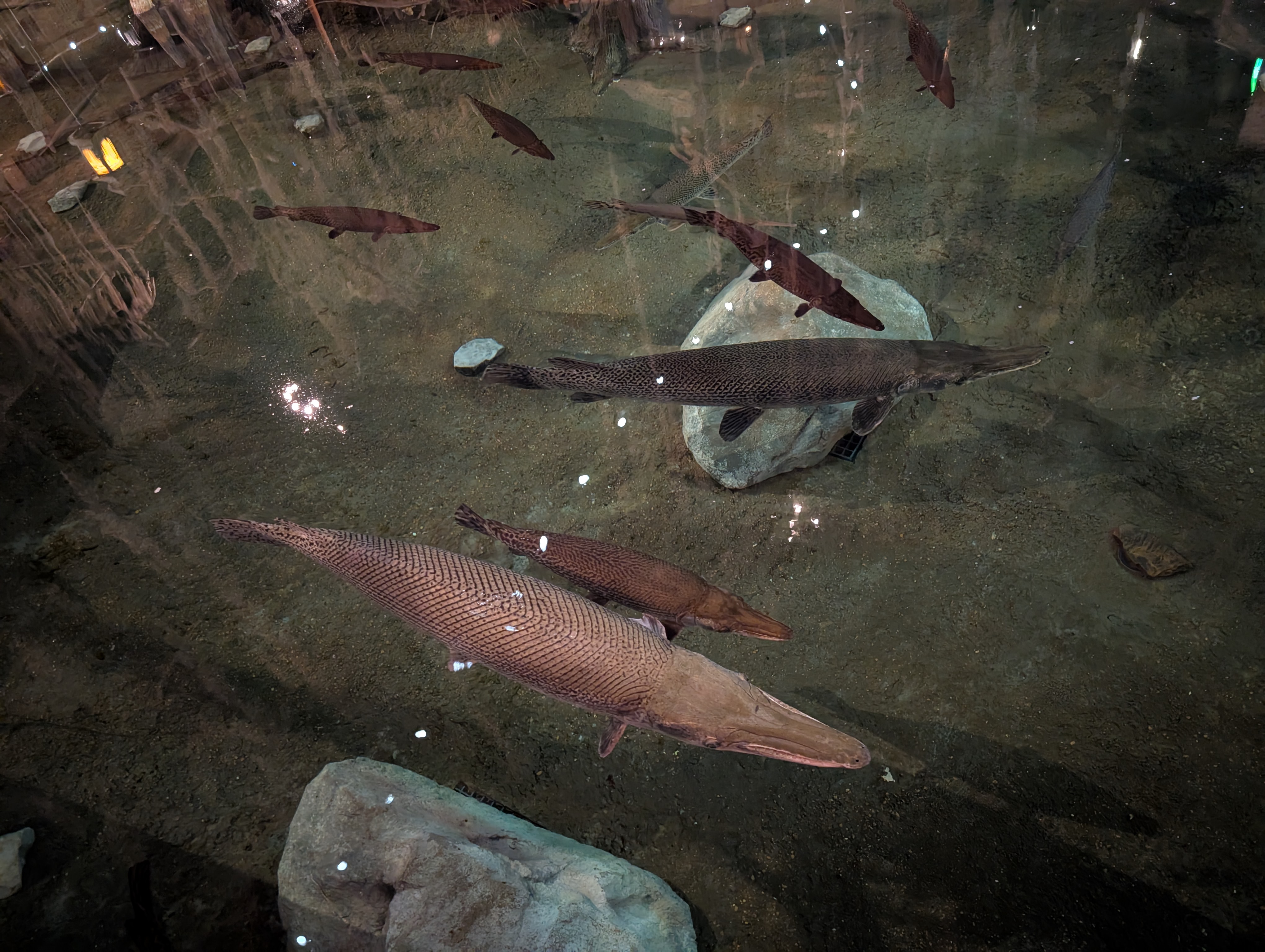 PXL 20250329 190923740