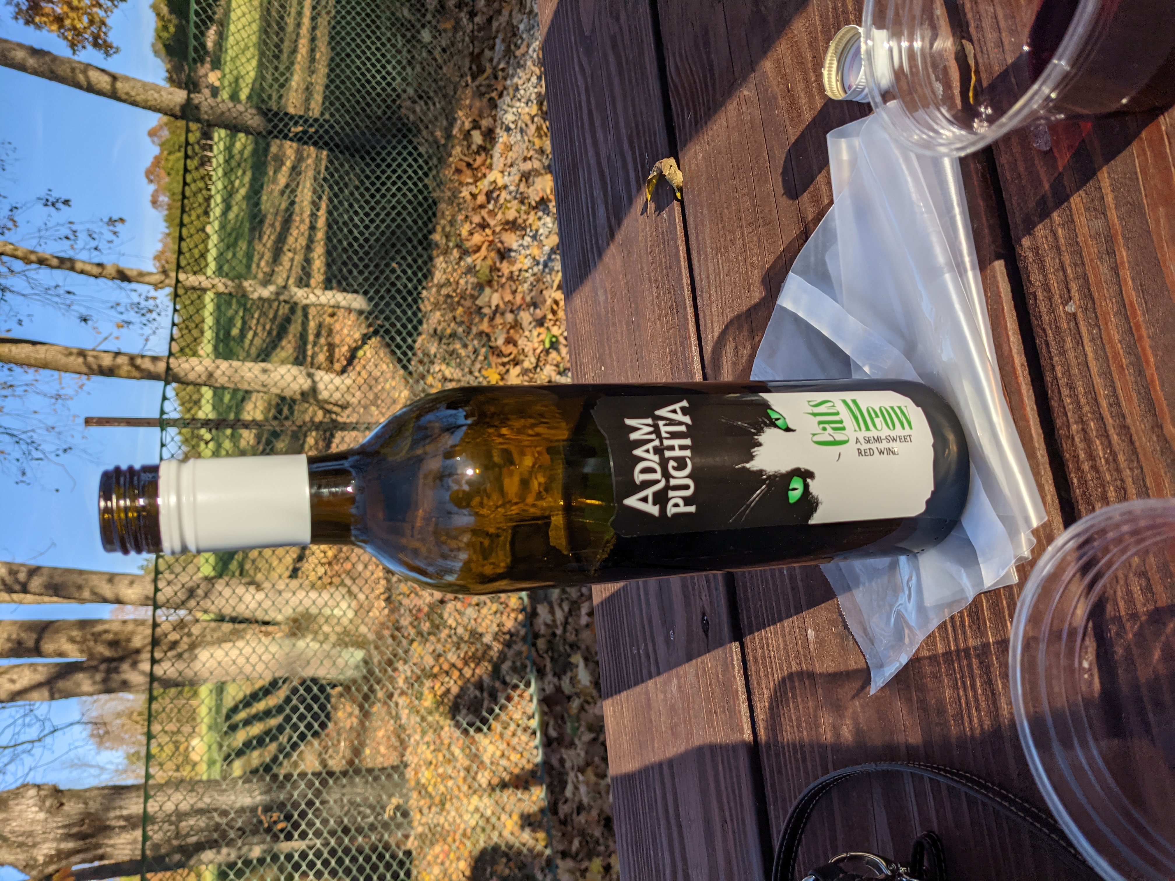 PXL 20201102 214321130