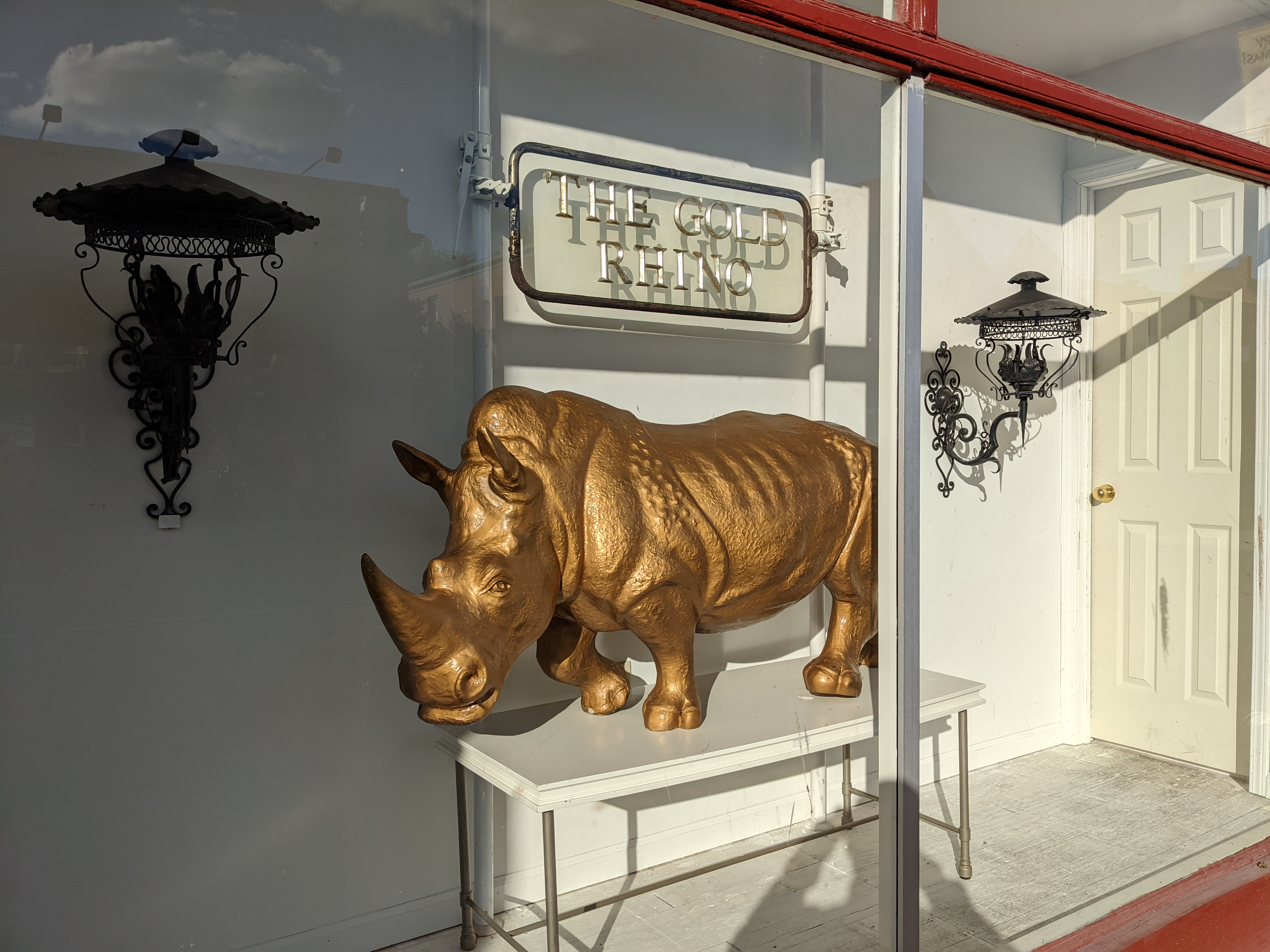 PXL 20211103 205924614