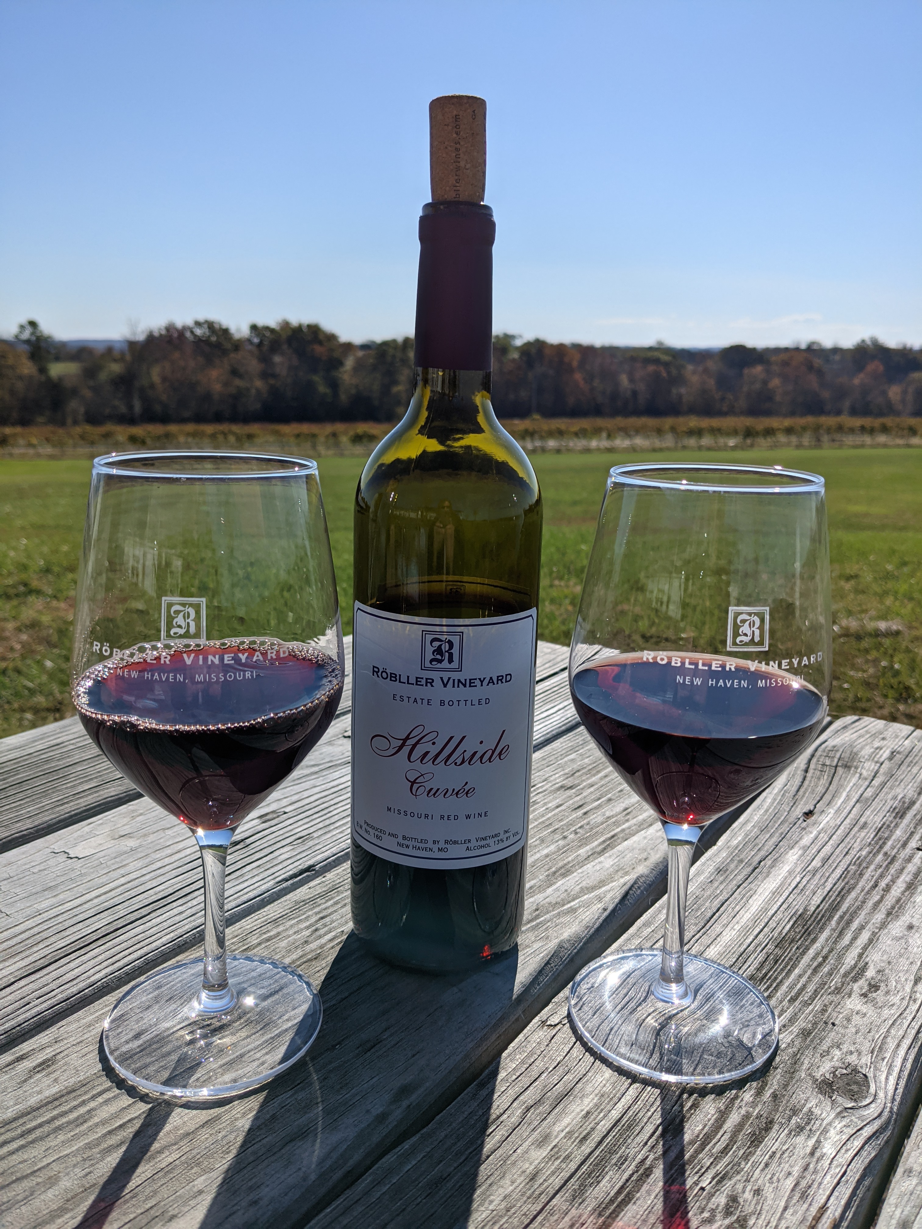 PXL 20211104 161634128