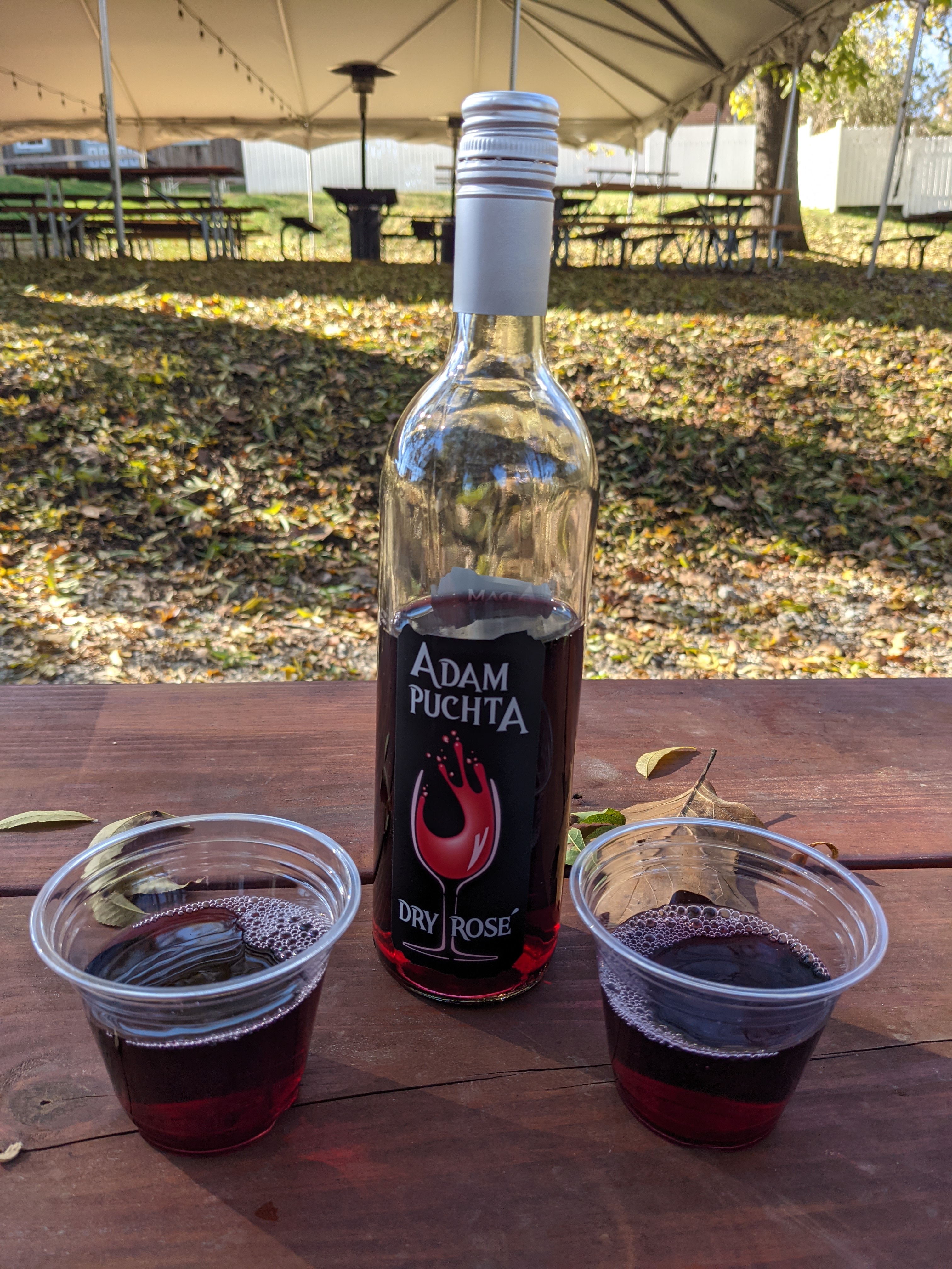 PXL 20211104 184529023