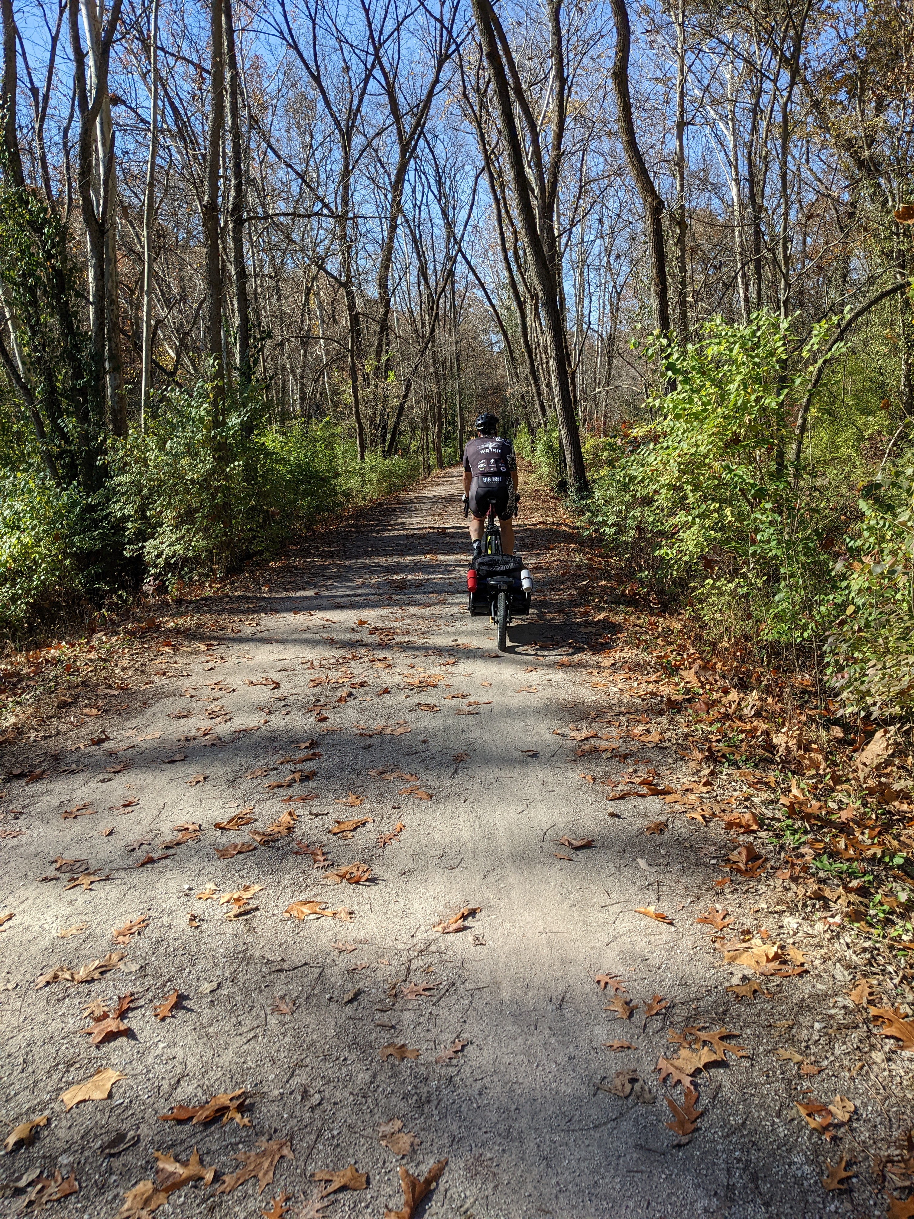 PXL 20221101 170432761