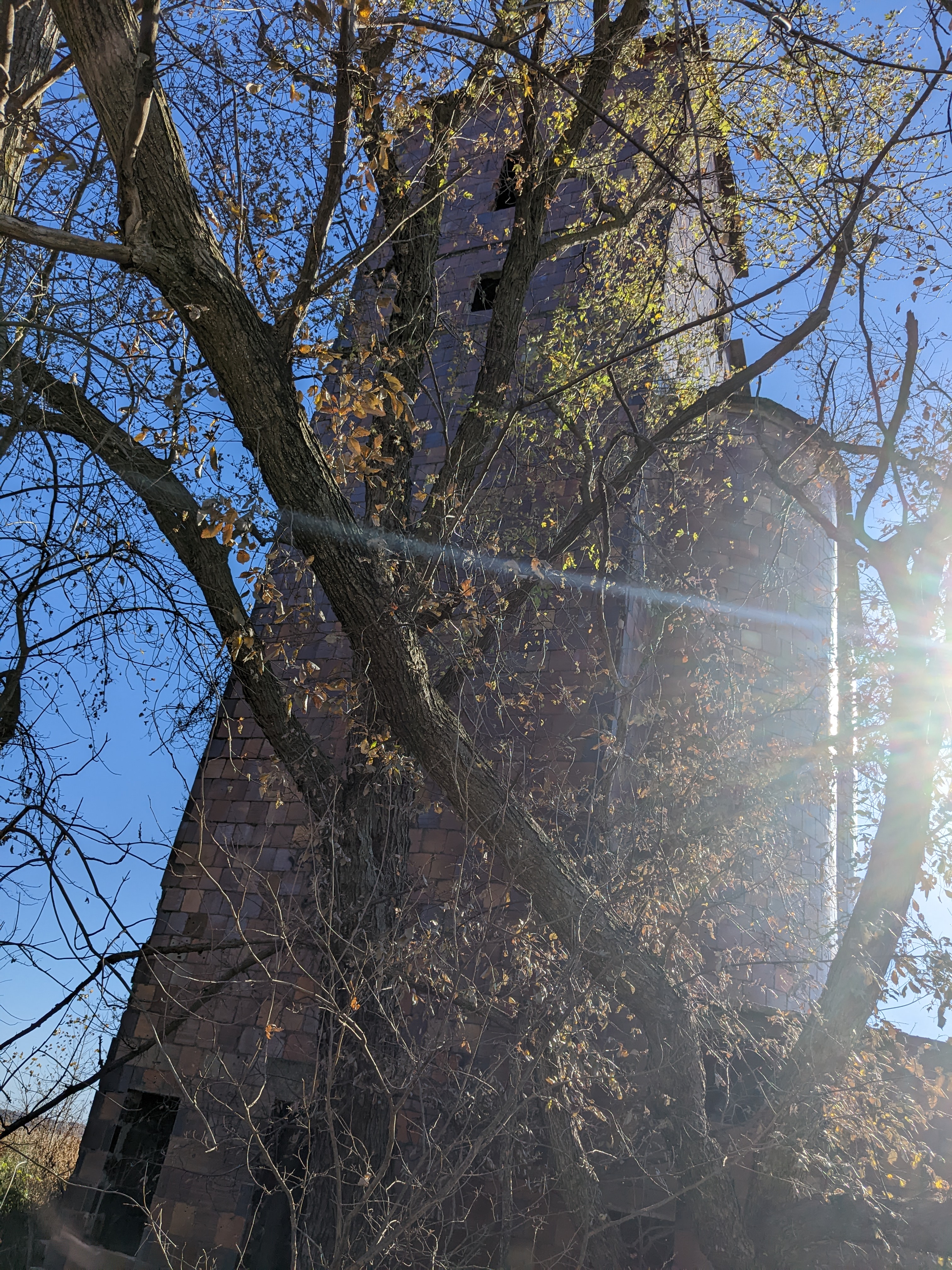 PXL 20221101 201203270