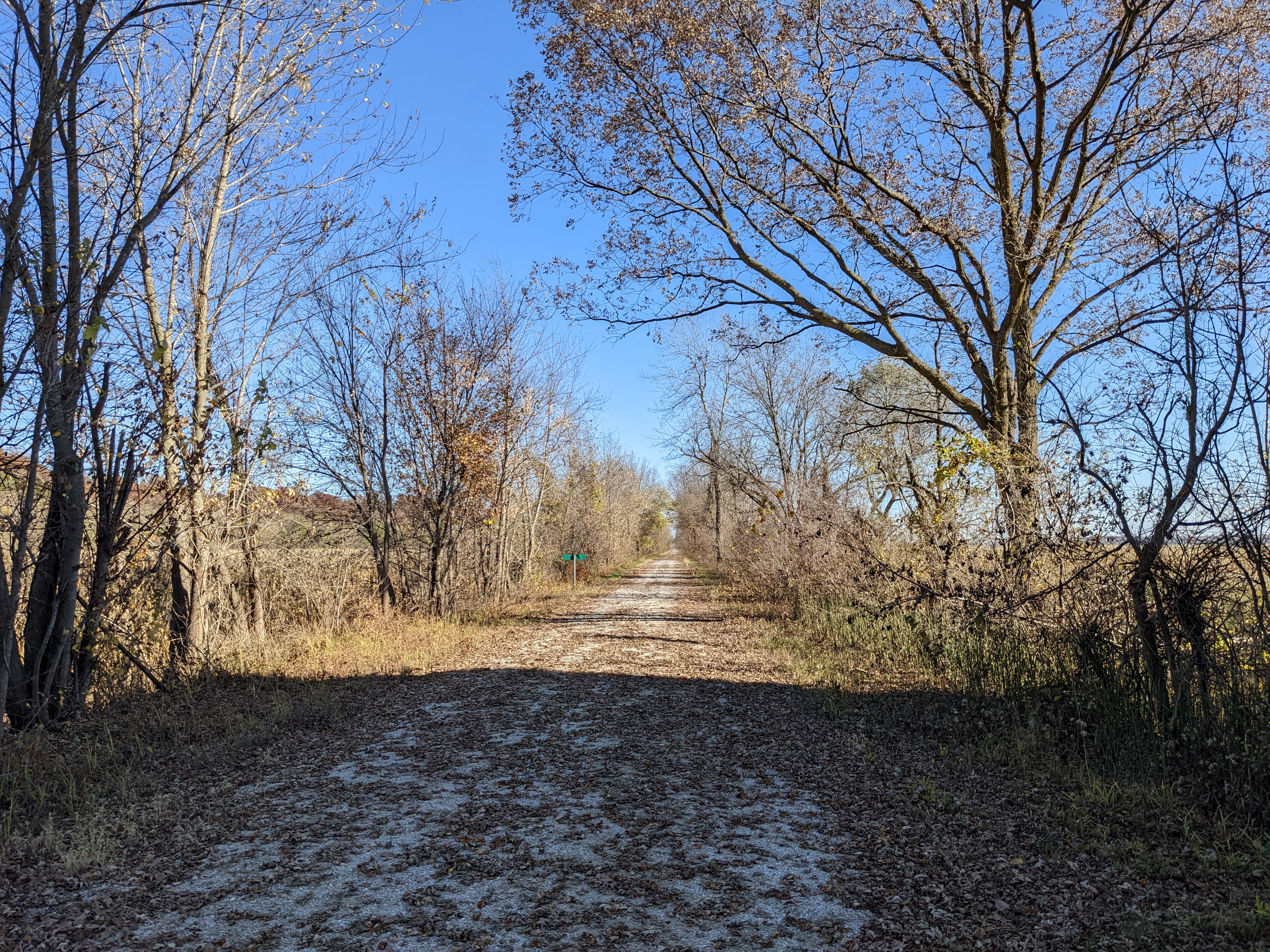 PXL 20221101 201725364