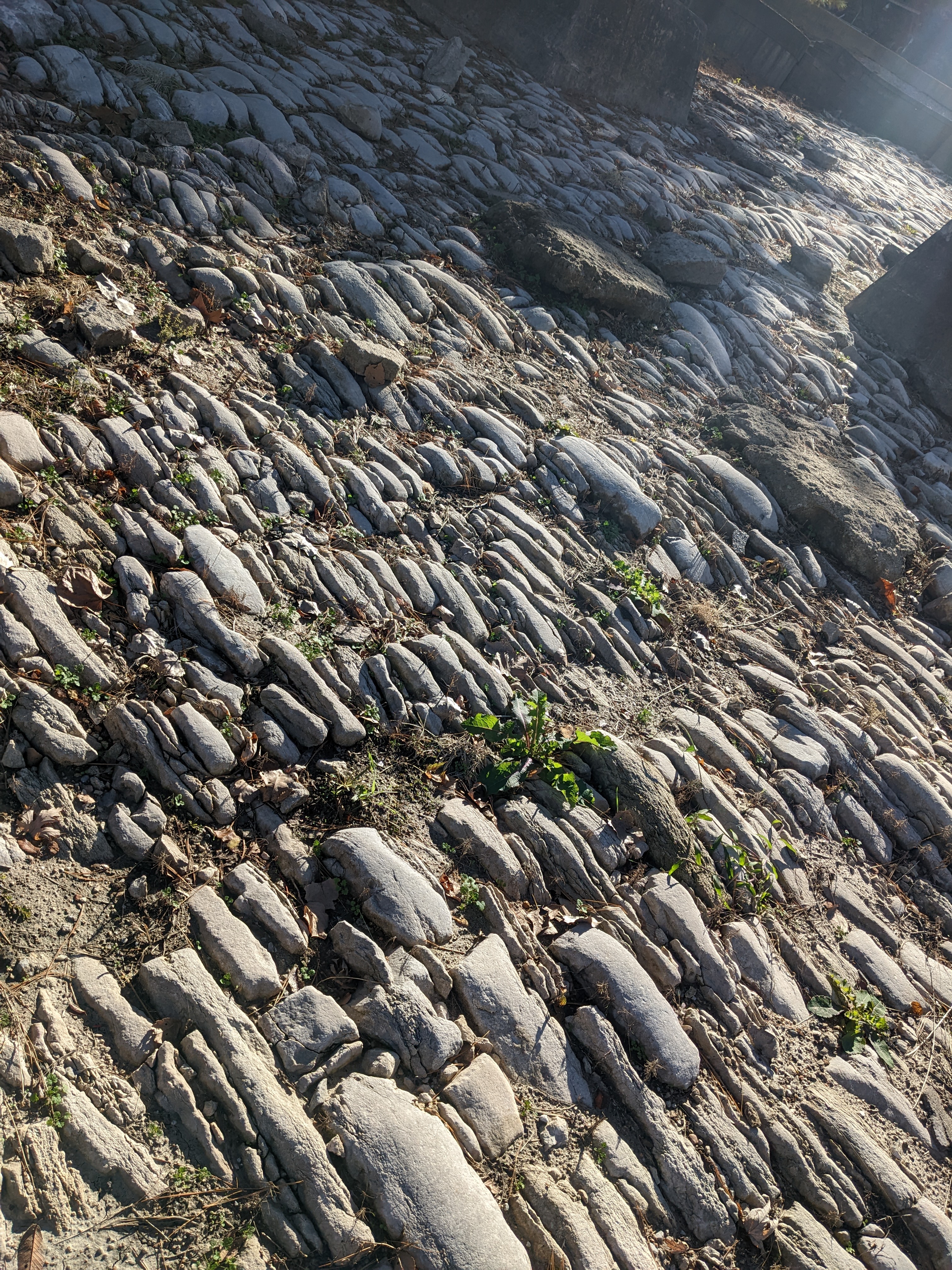 PXL 20221102 154043497