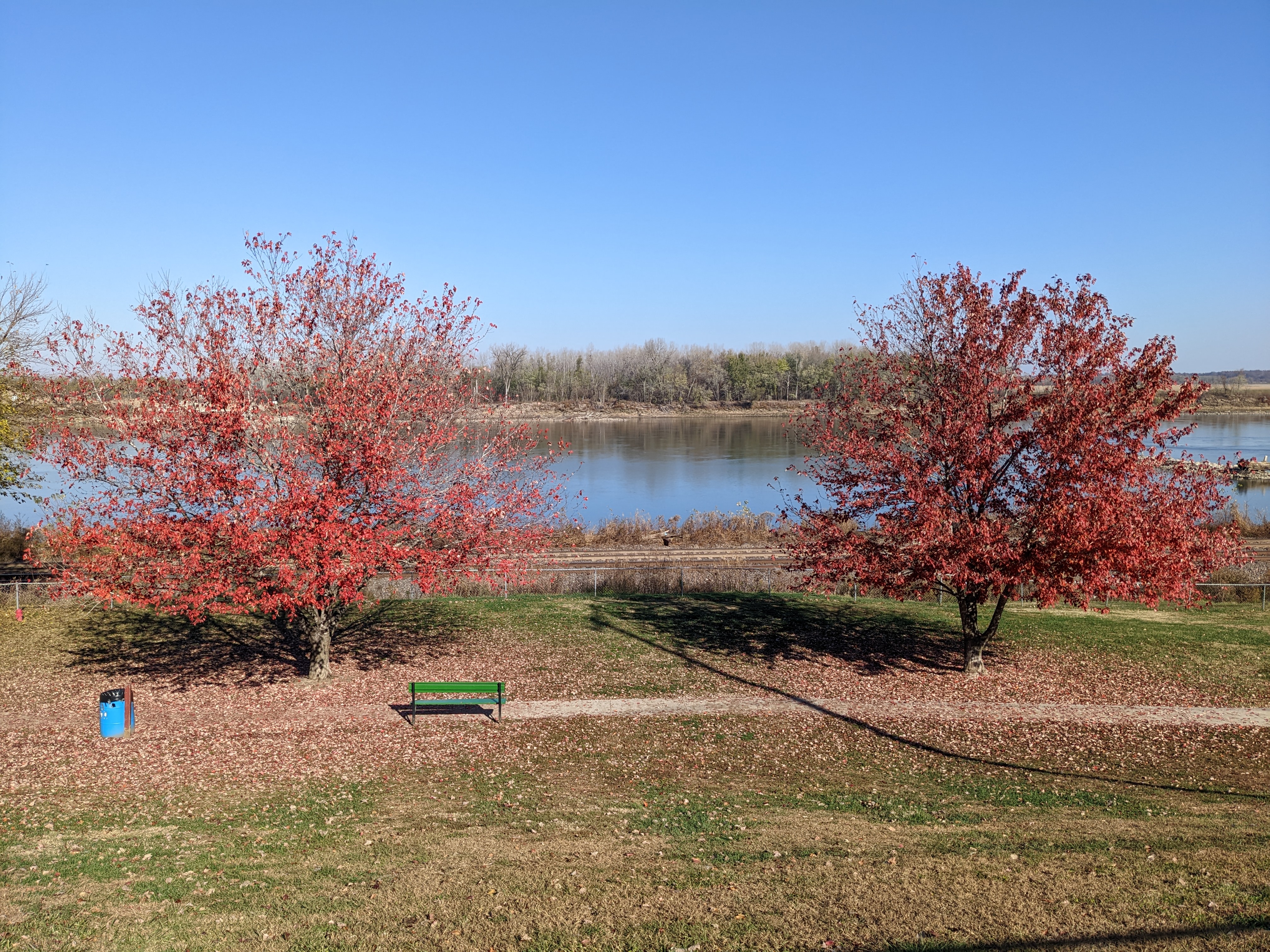 PXL 20221102 155020342