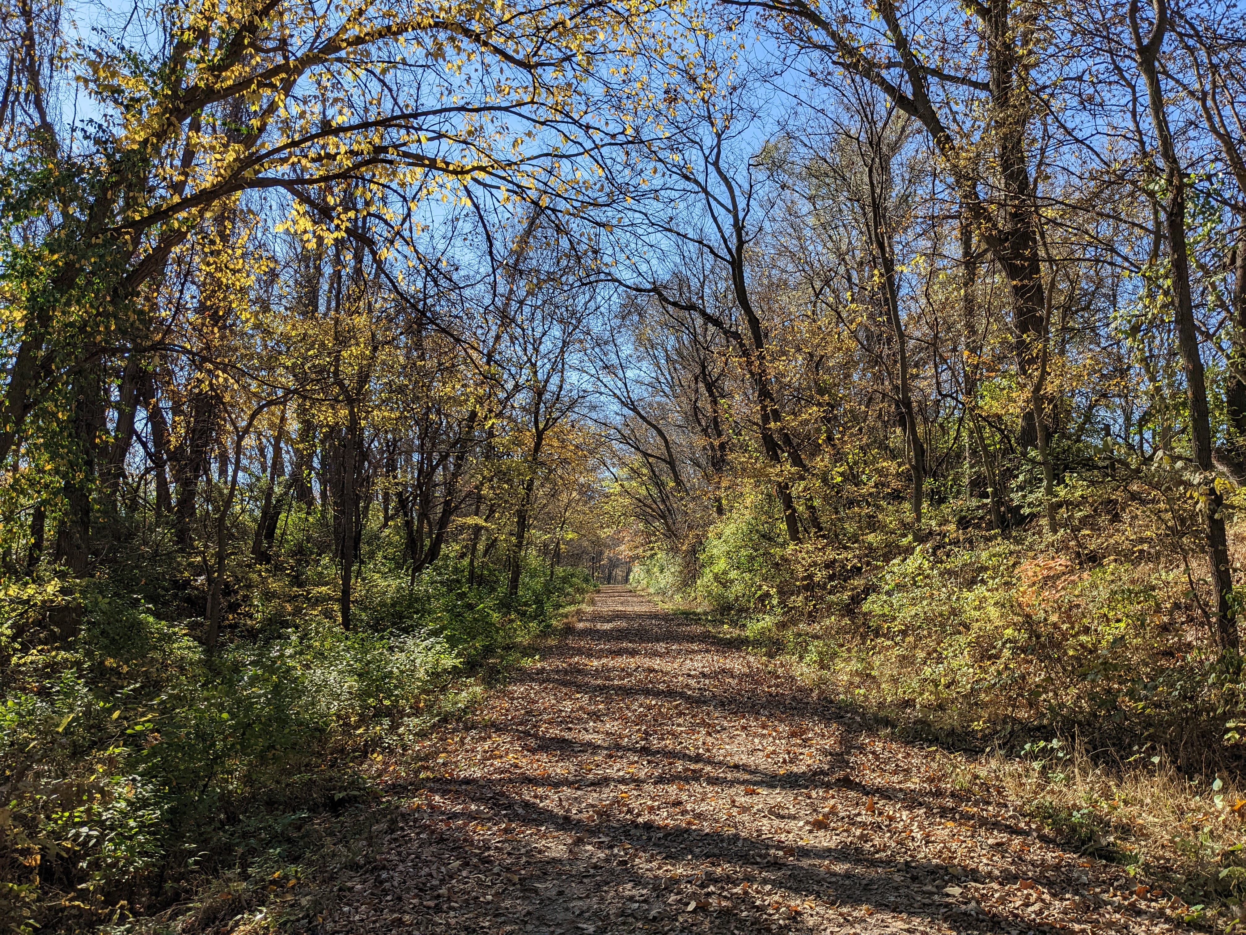 PXL 20221102 172707900