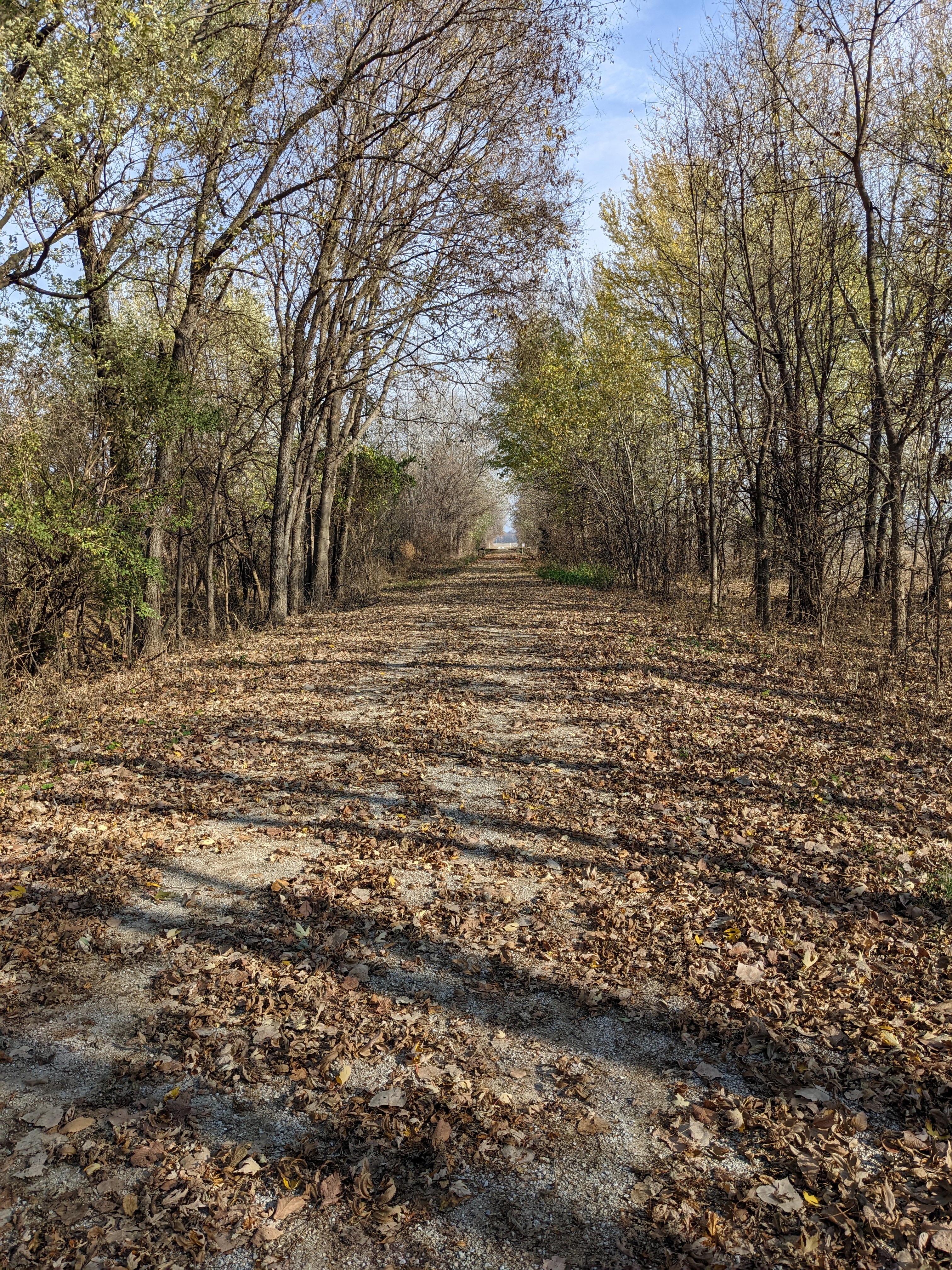 PXL 20221103 154138905