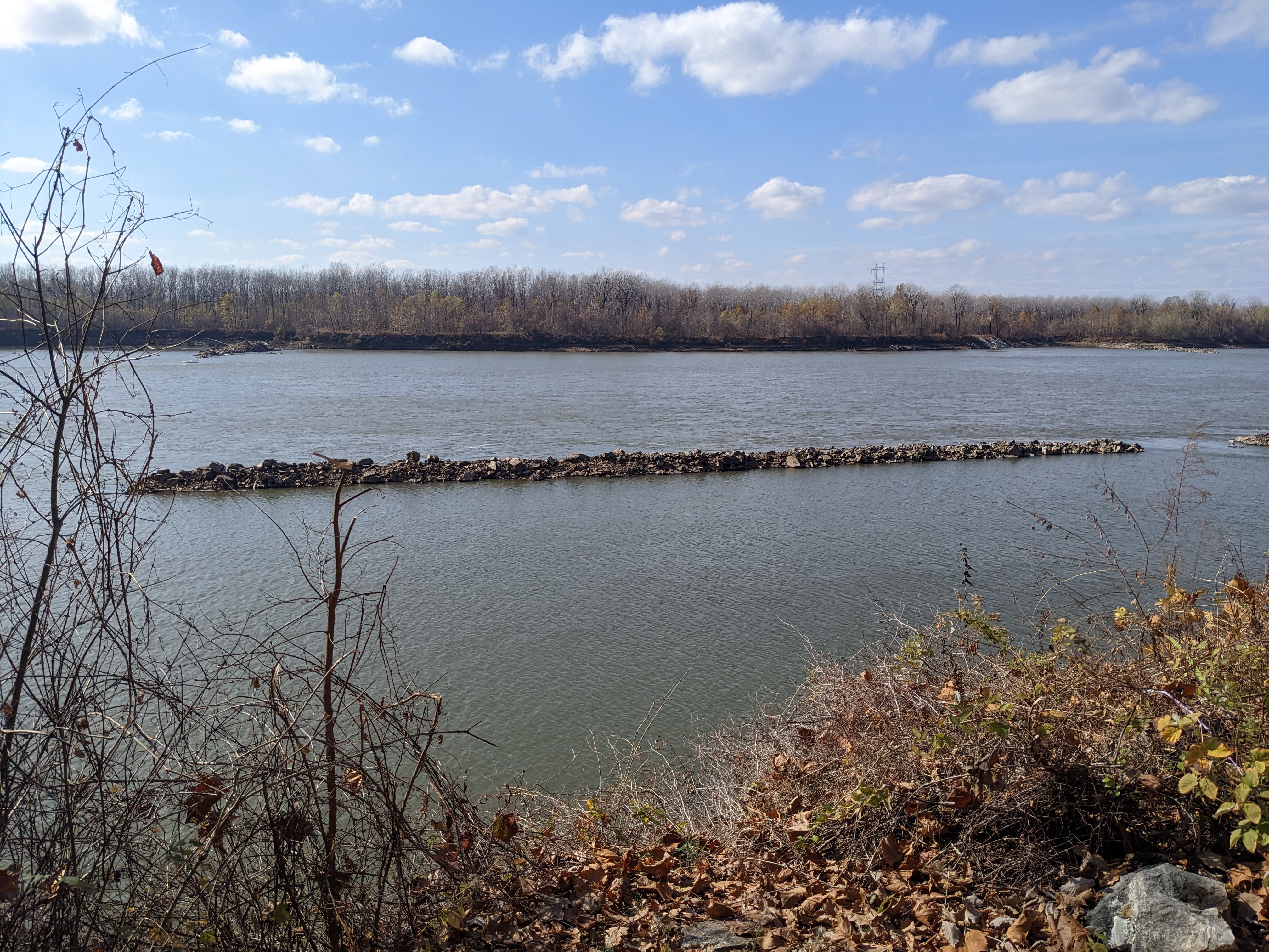 PXL 20221103 181854230