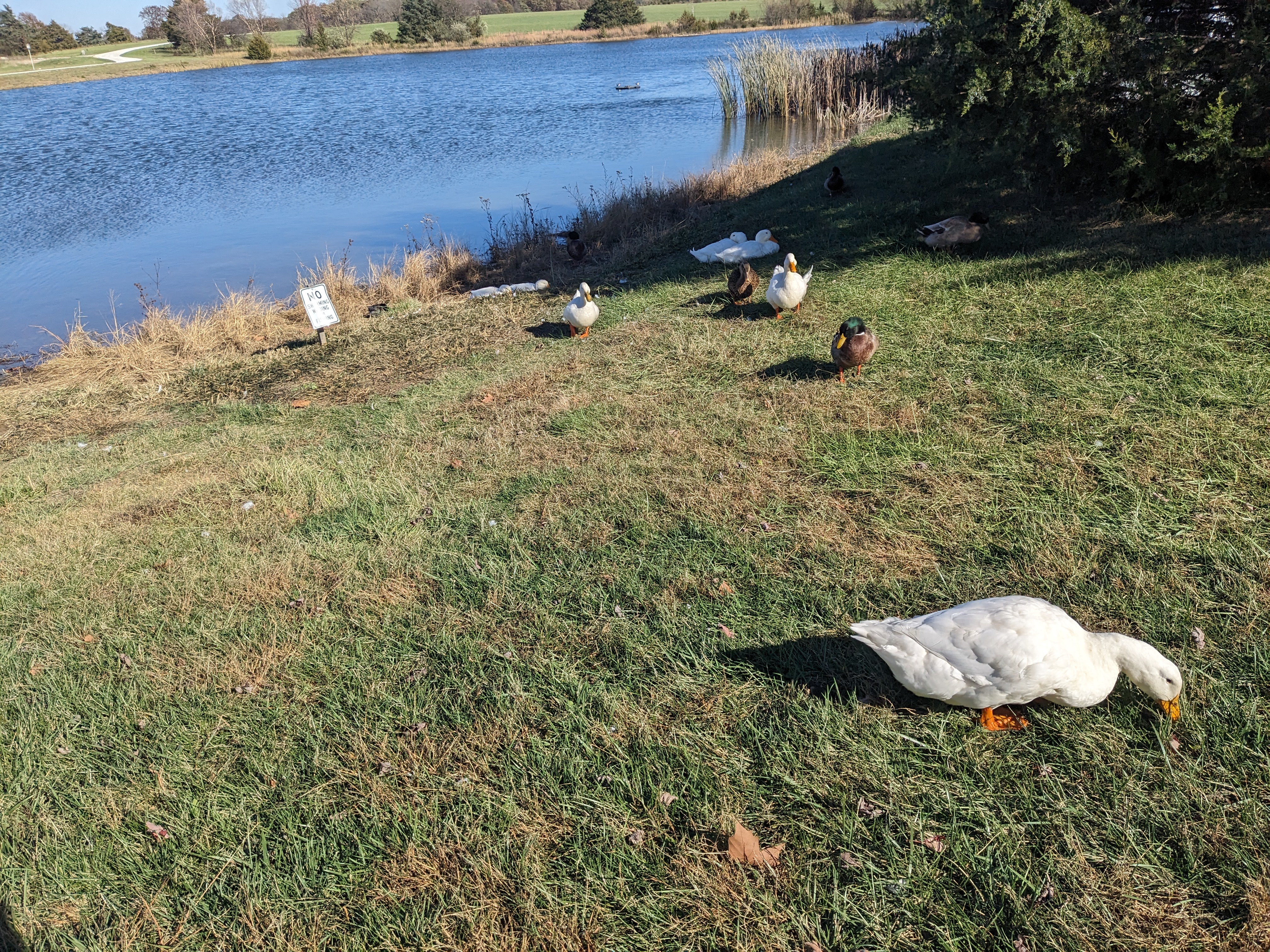 PXL 20231102 193031228