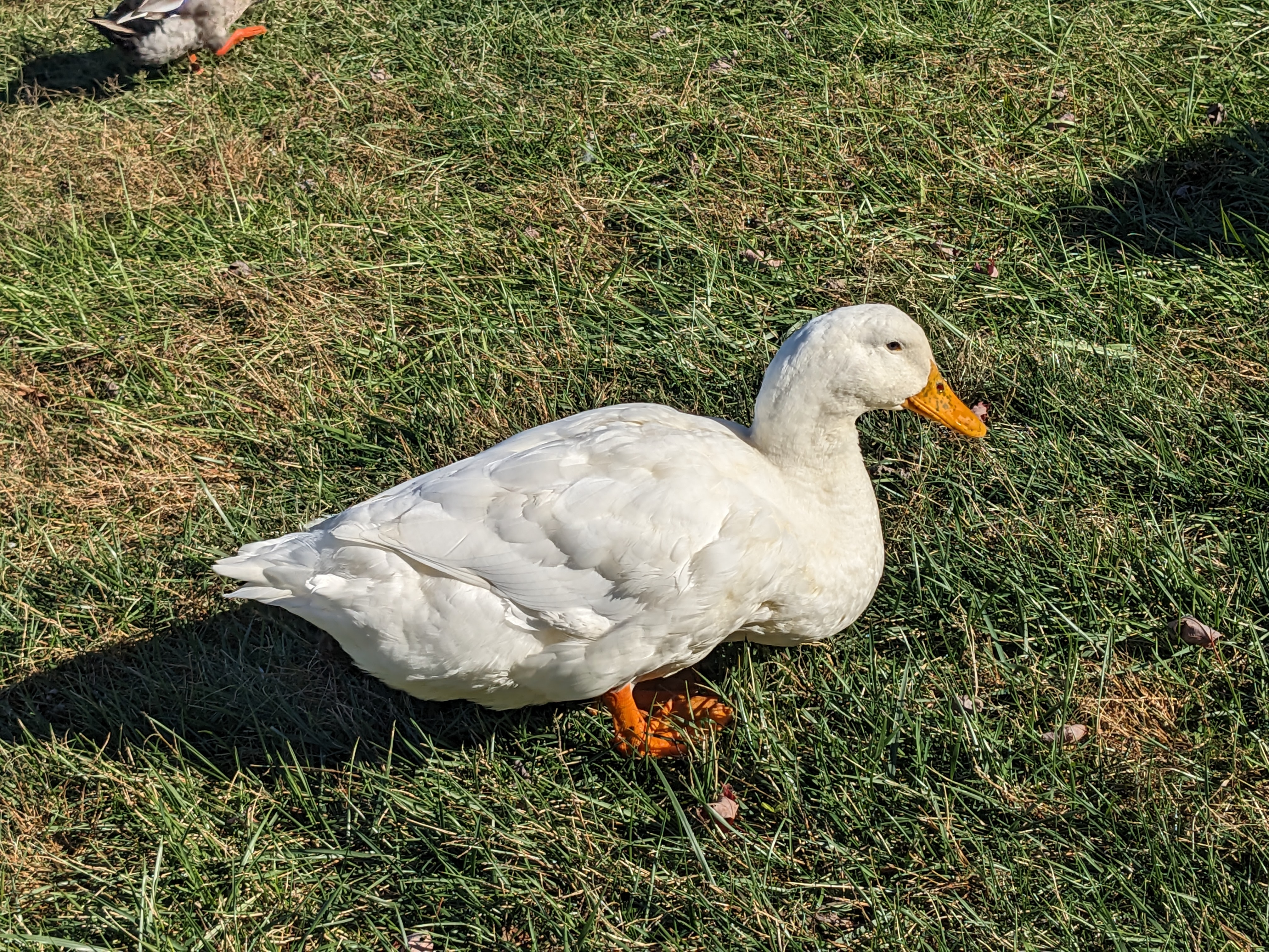 PXL 20231102 193041186