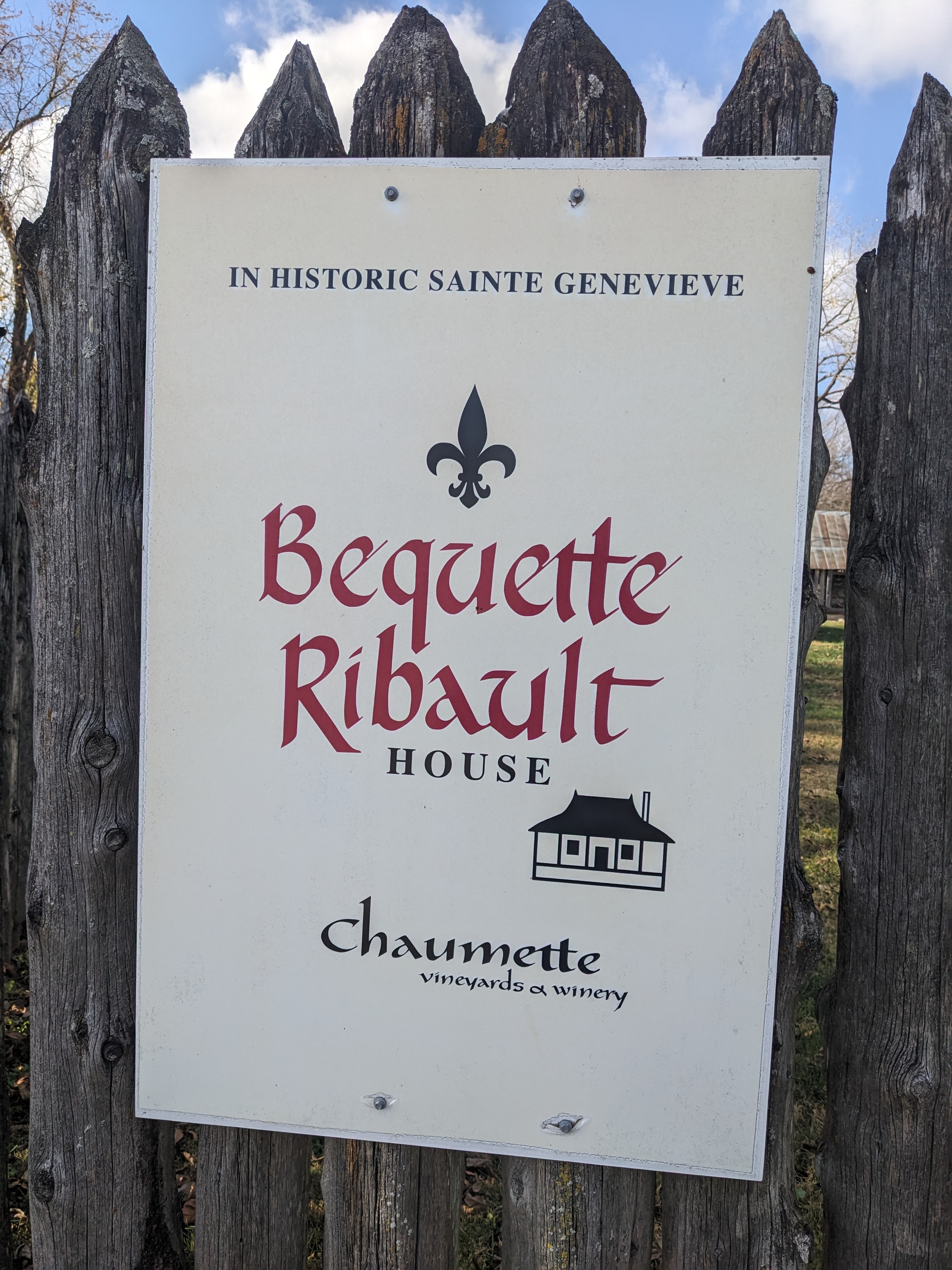 PXL 20231108 163751197