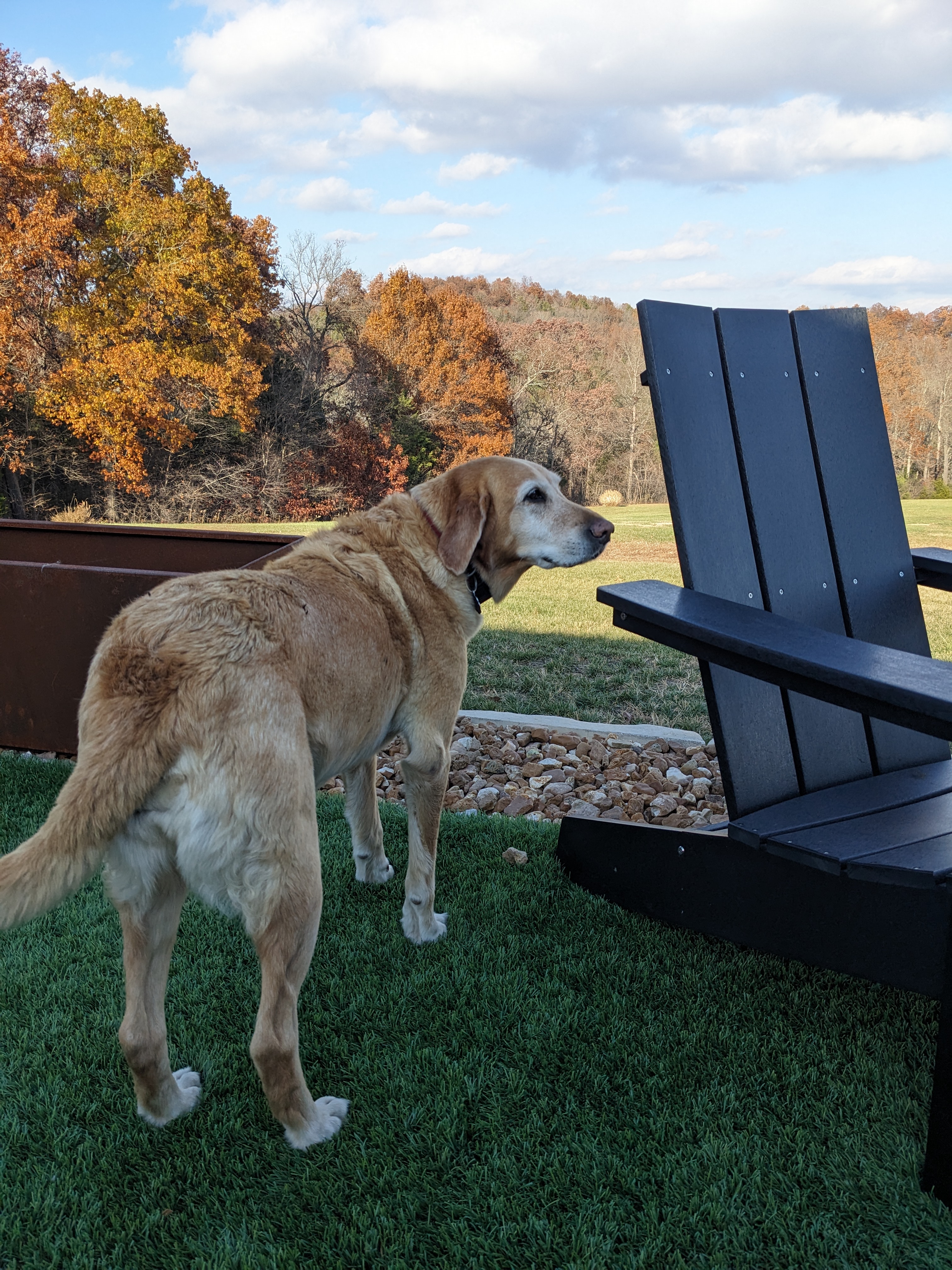 PXL 20231108 203756894