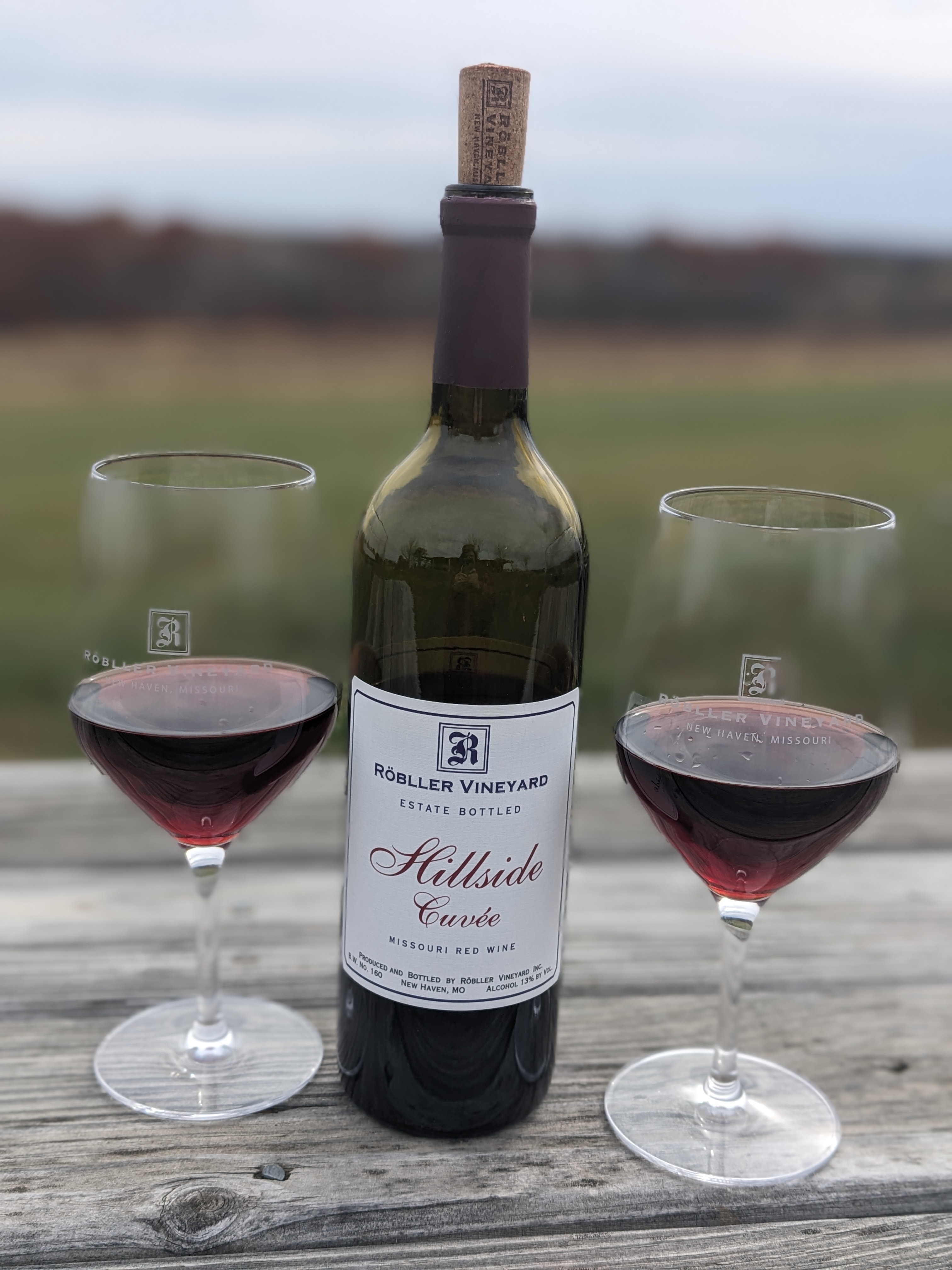 PXL 20231109 183412668.PORTRAIT