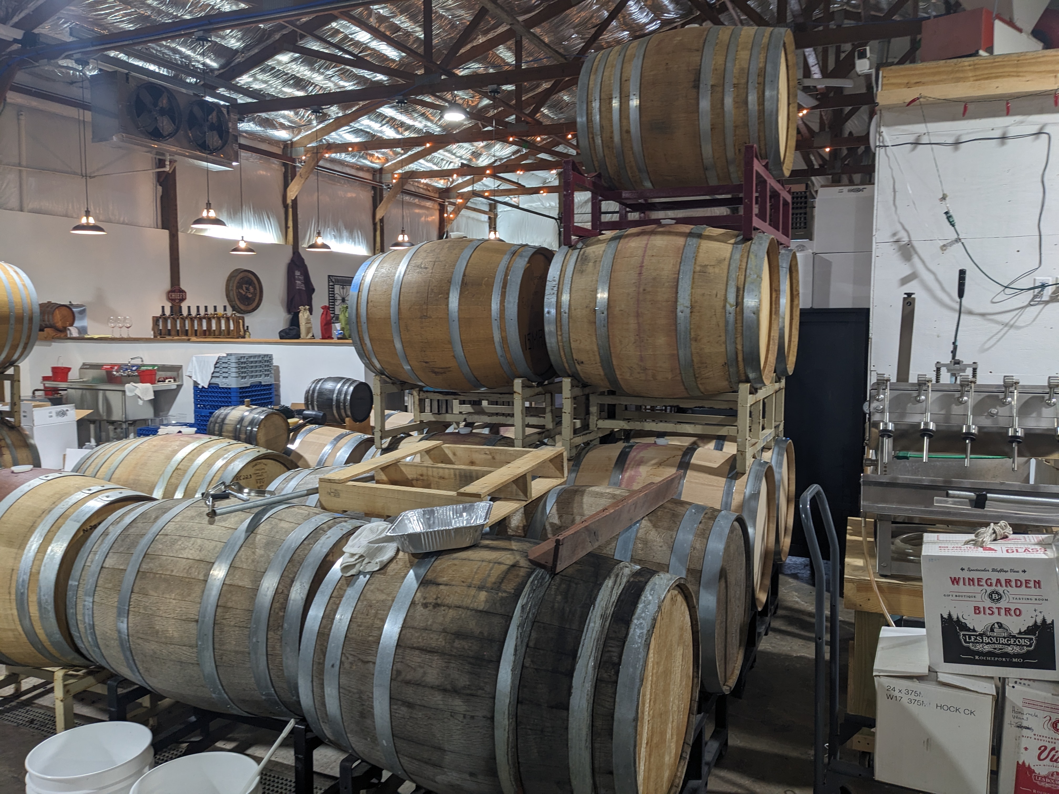 PXL 20241102 180007656