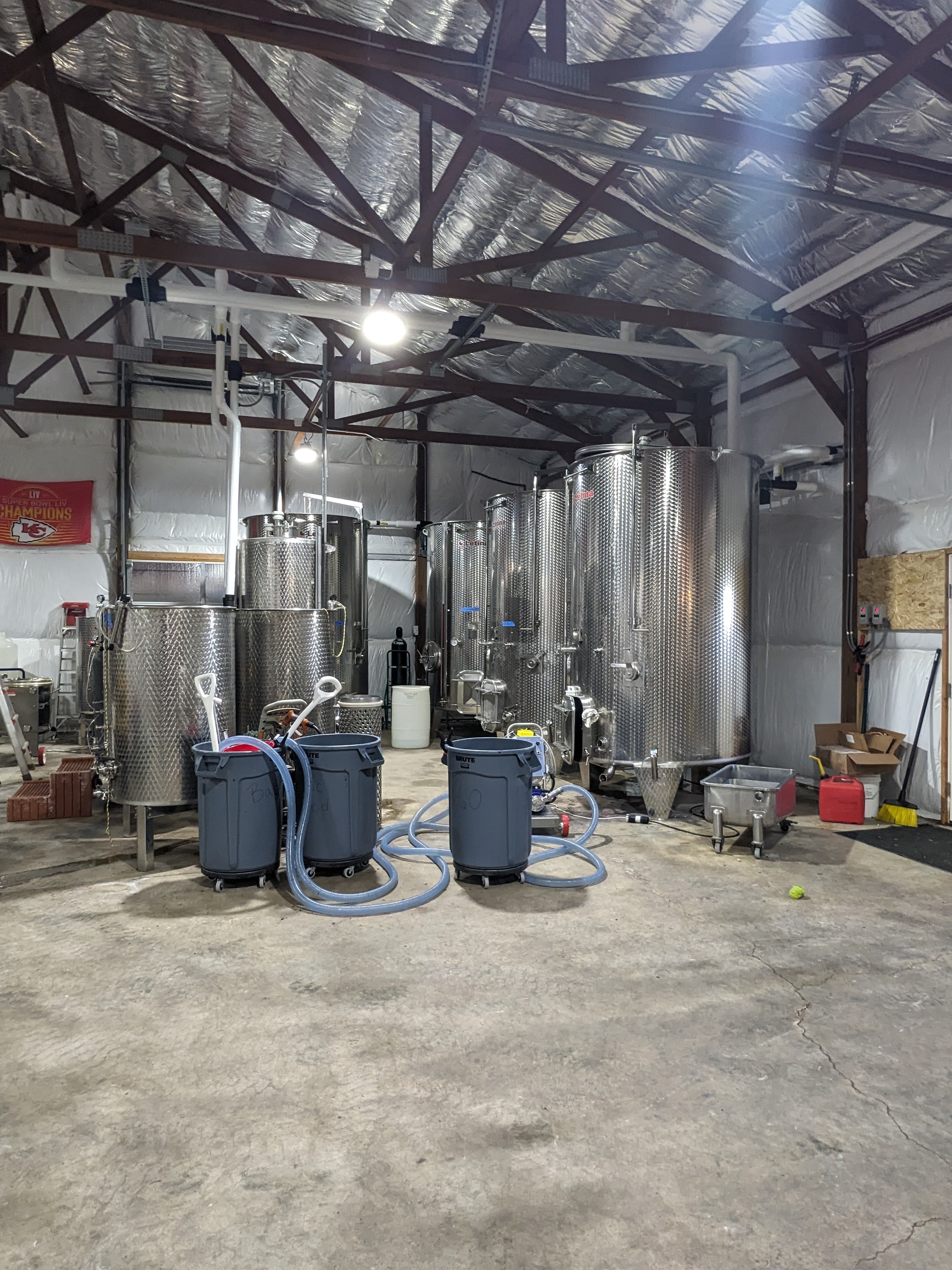 PXL 20241102 180034972