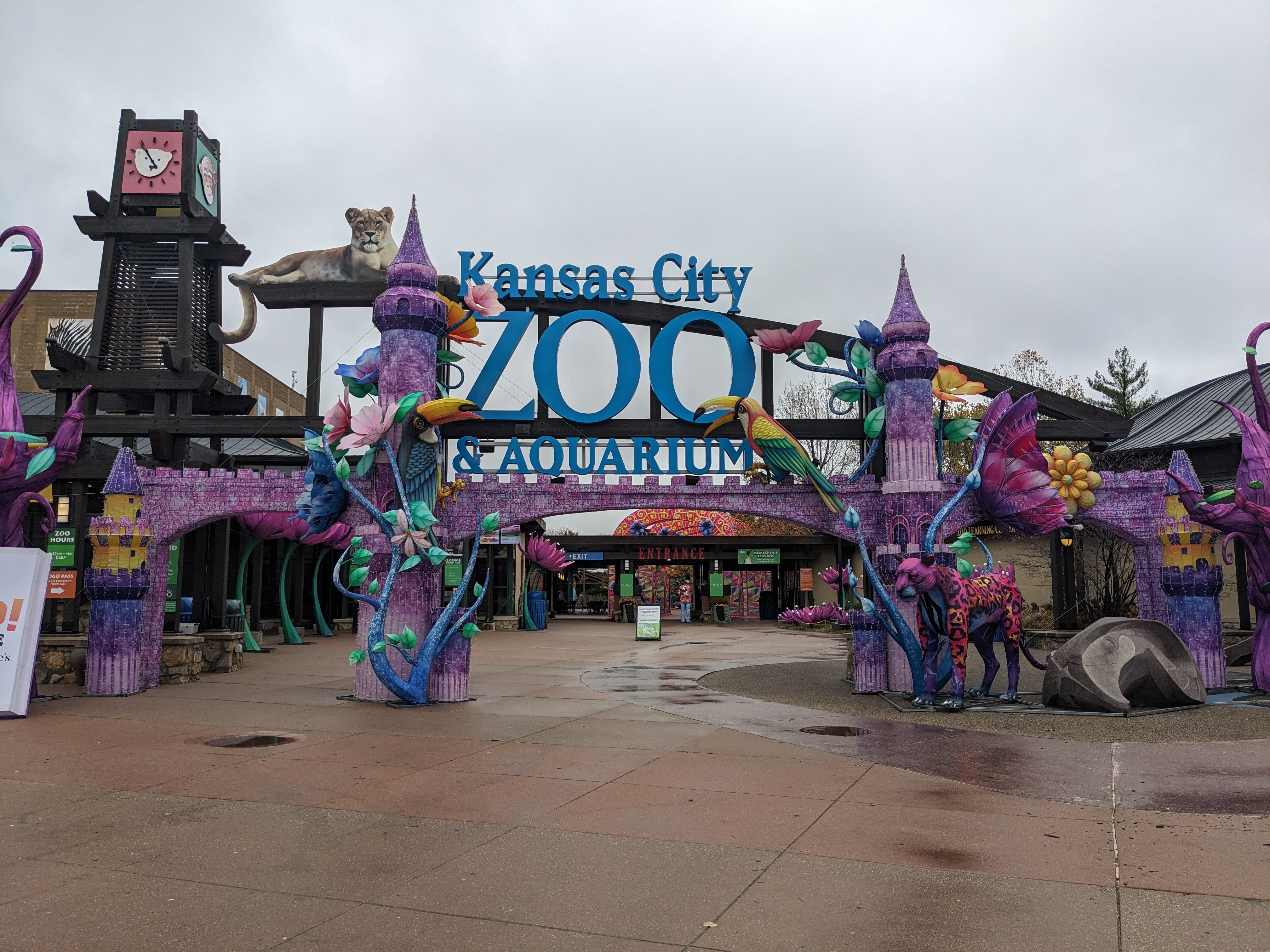 PXL 20241103 164846023