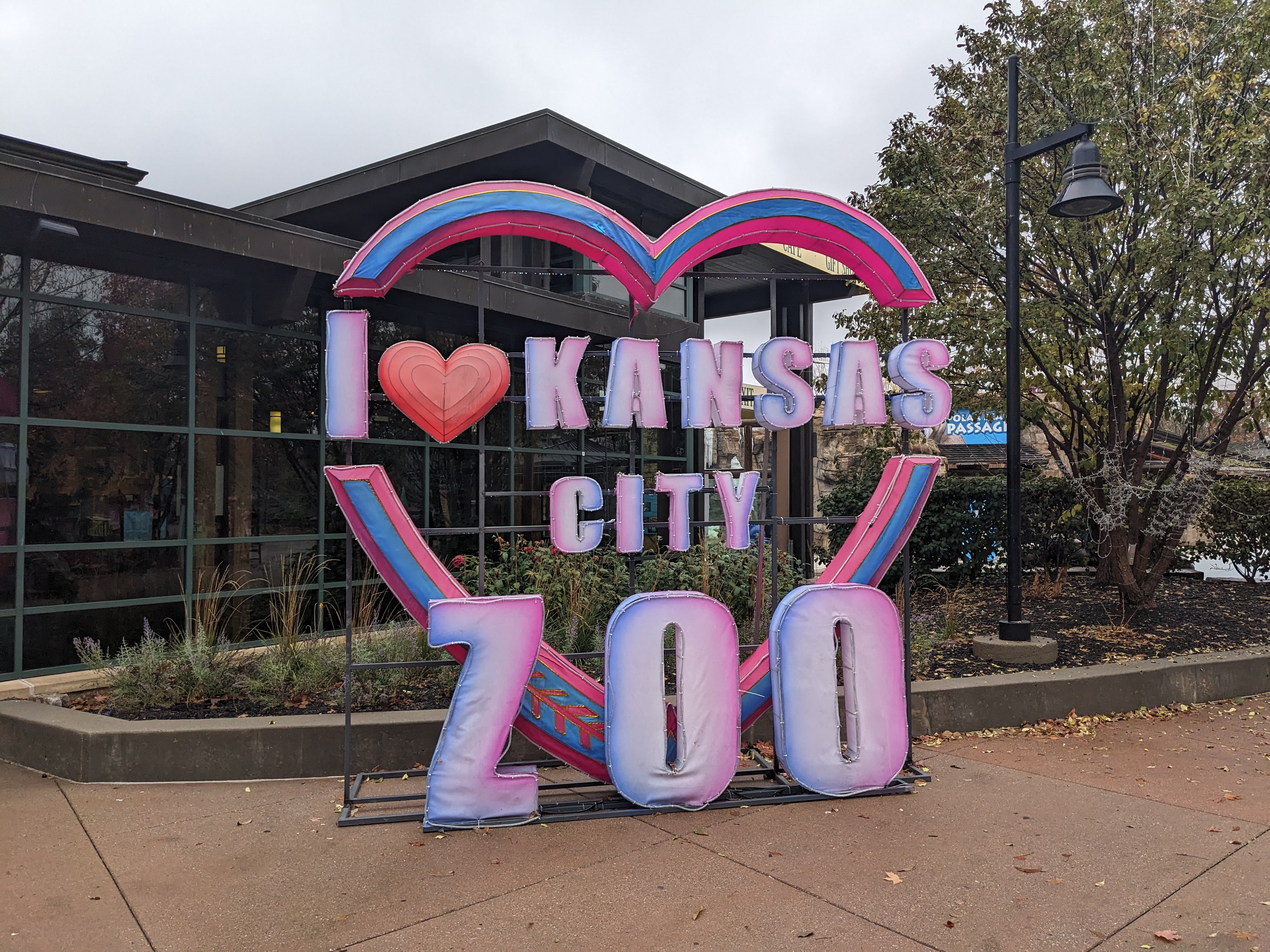 PXL 20241103 165139532