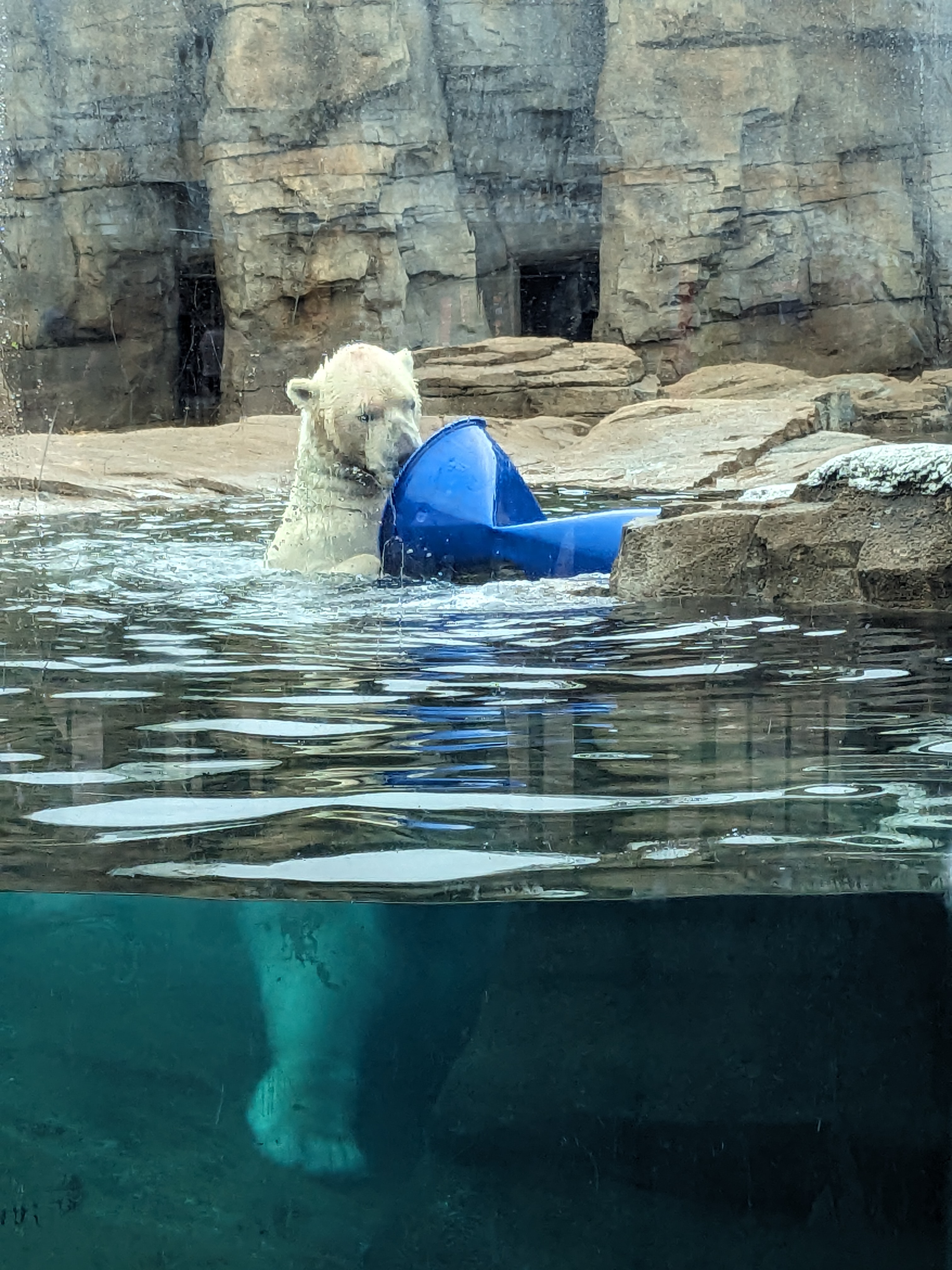 PXL 20241103 165440925